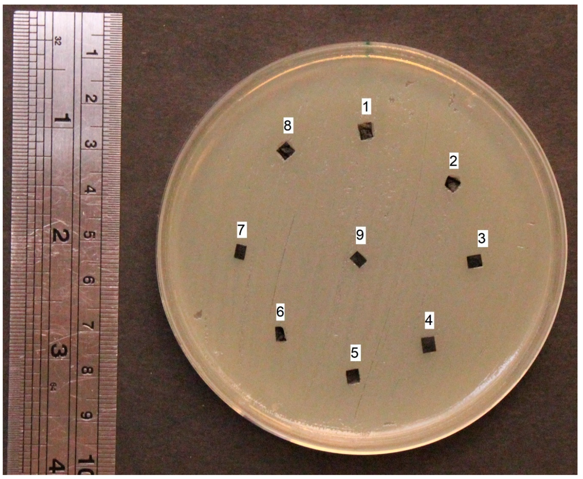 Actuators 09 00040 g003