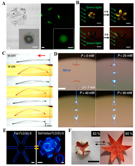 Actuators 09 00115 g005