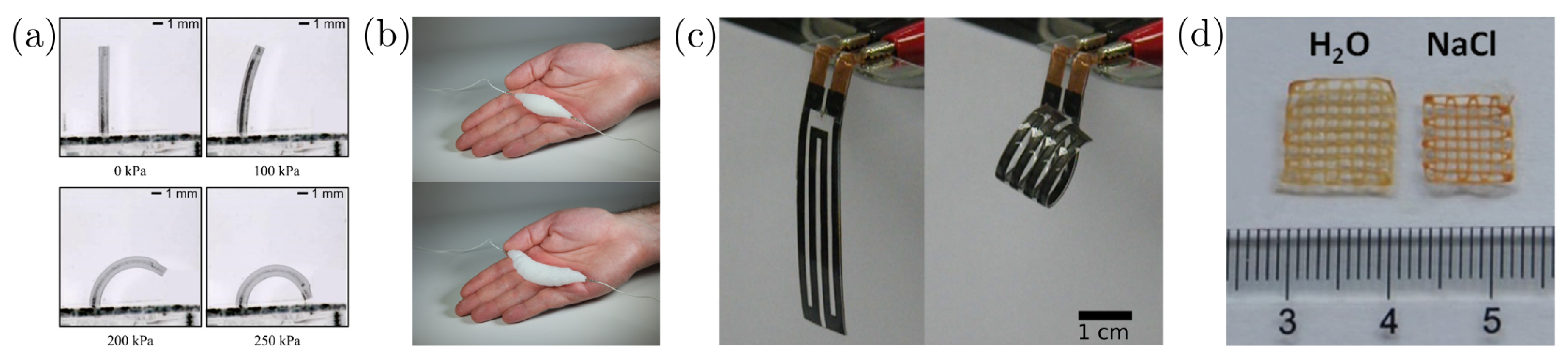 Actuators 09 00131 g006