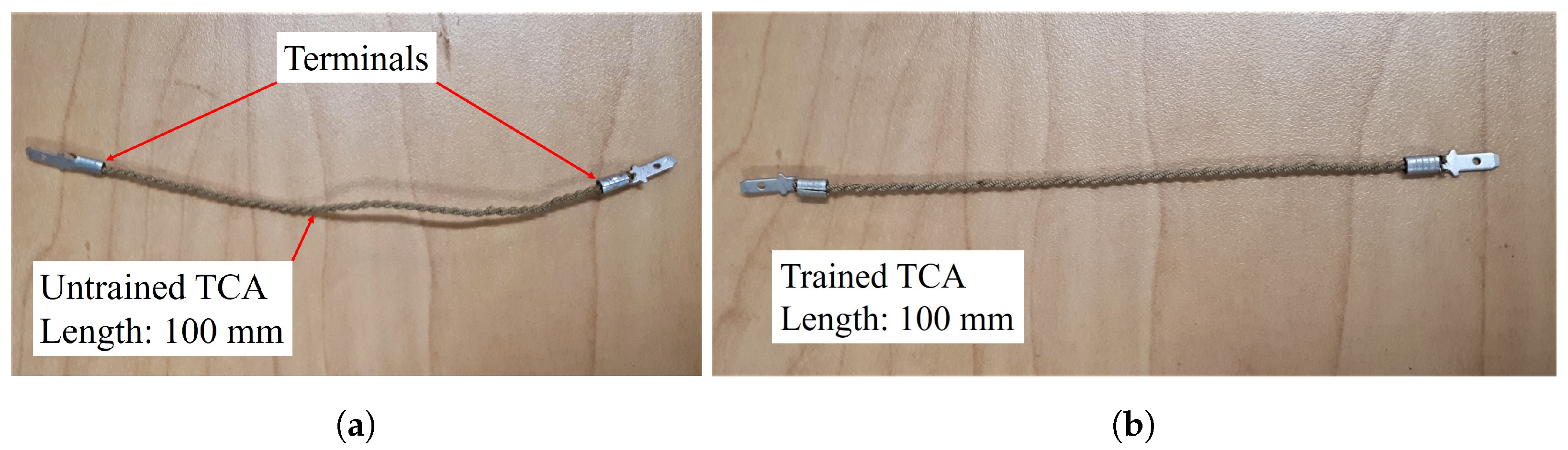 Actuators 10 00037 g001