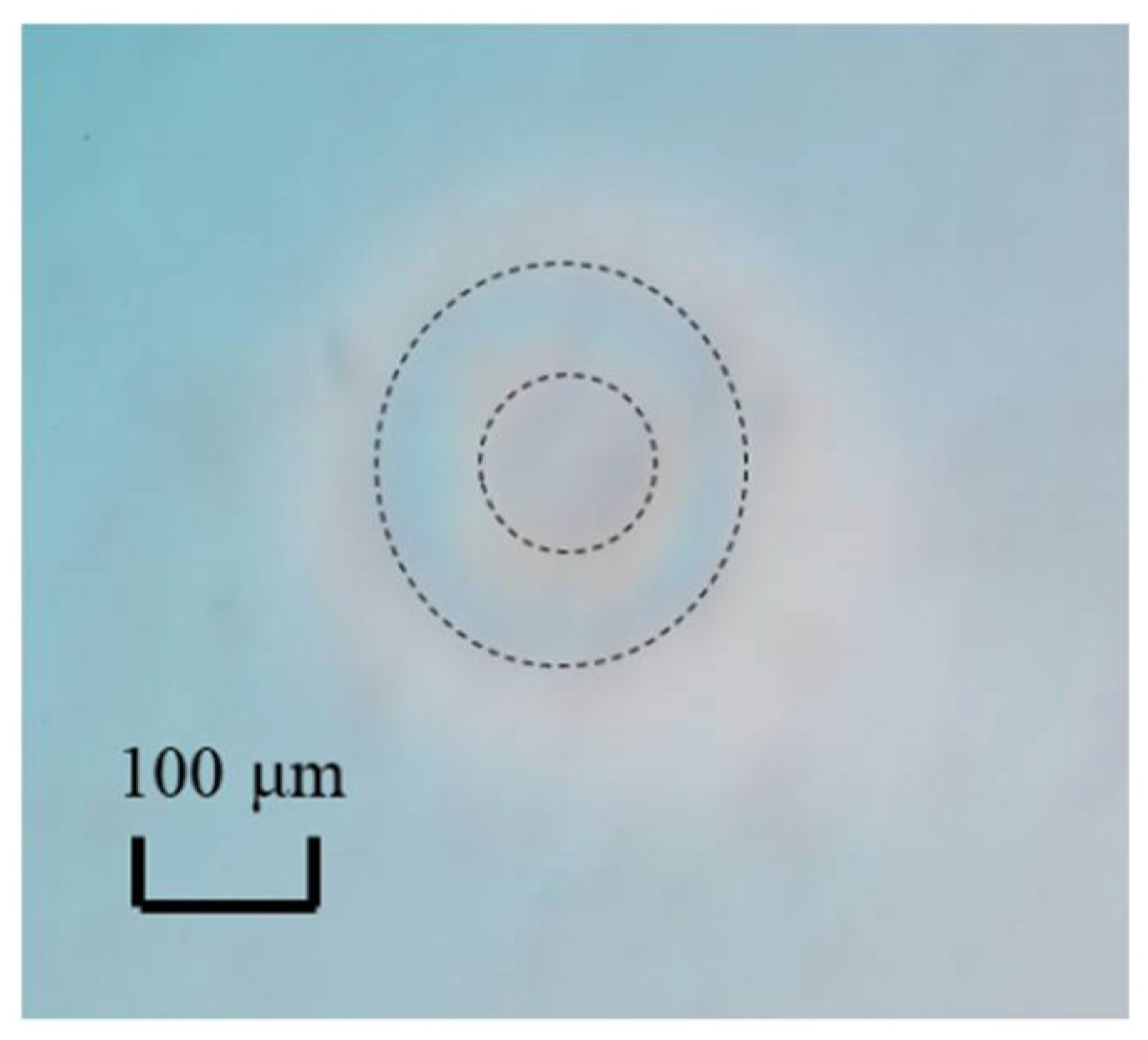 Actuators 10 00055 g017