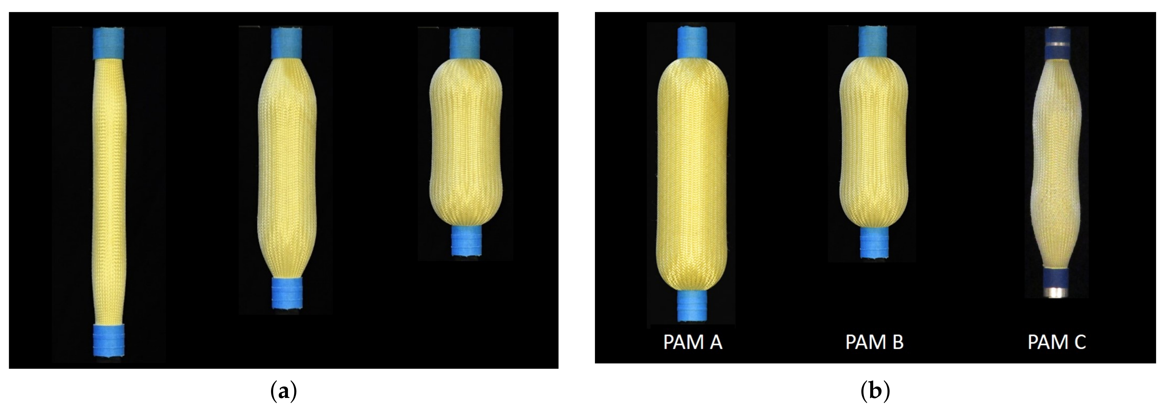 Actuators 10 00072 g002