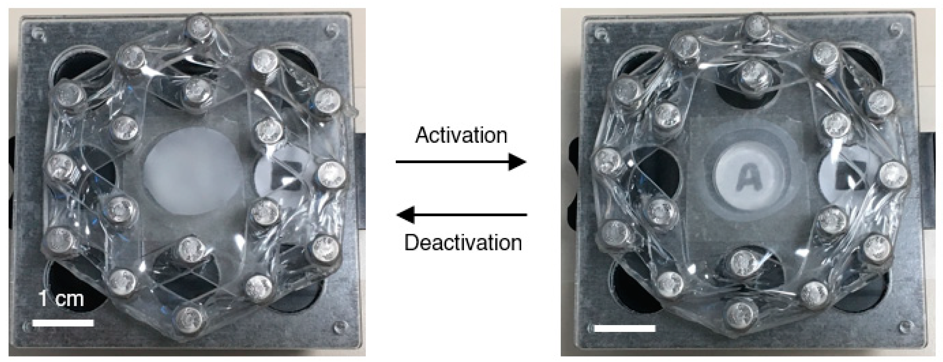 Actuators 10 00251 g016