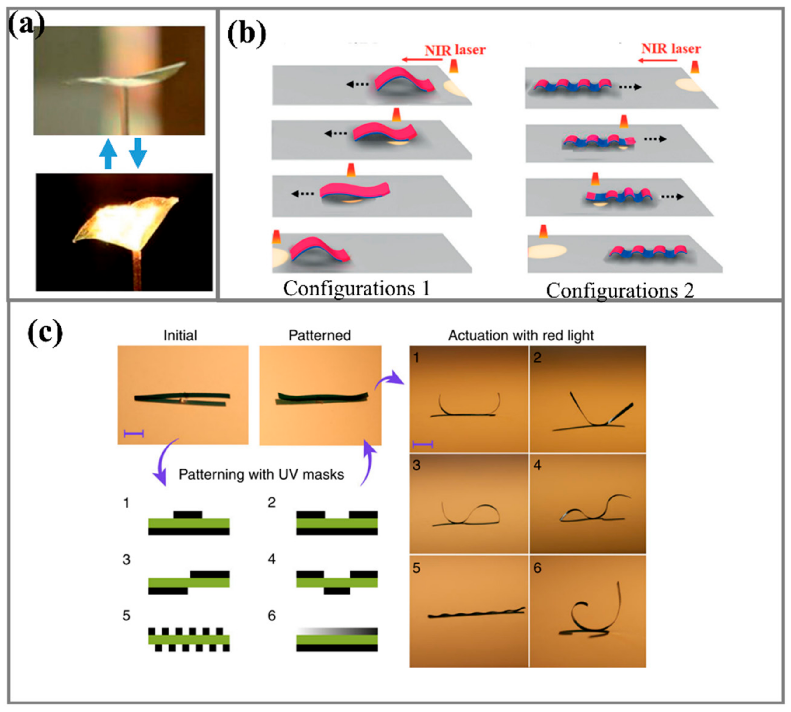 Actuators 10 00298 g002