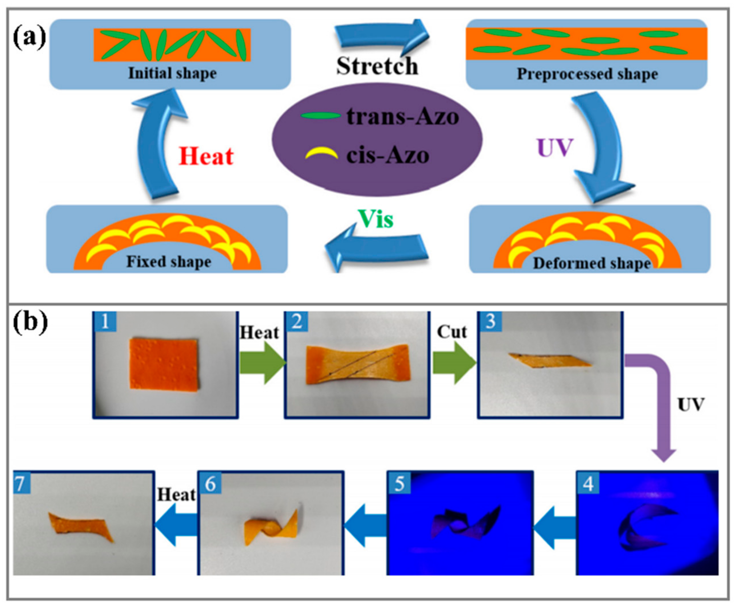 Actuators 10 00298 g003
