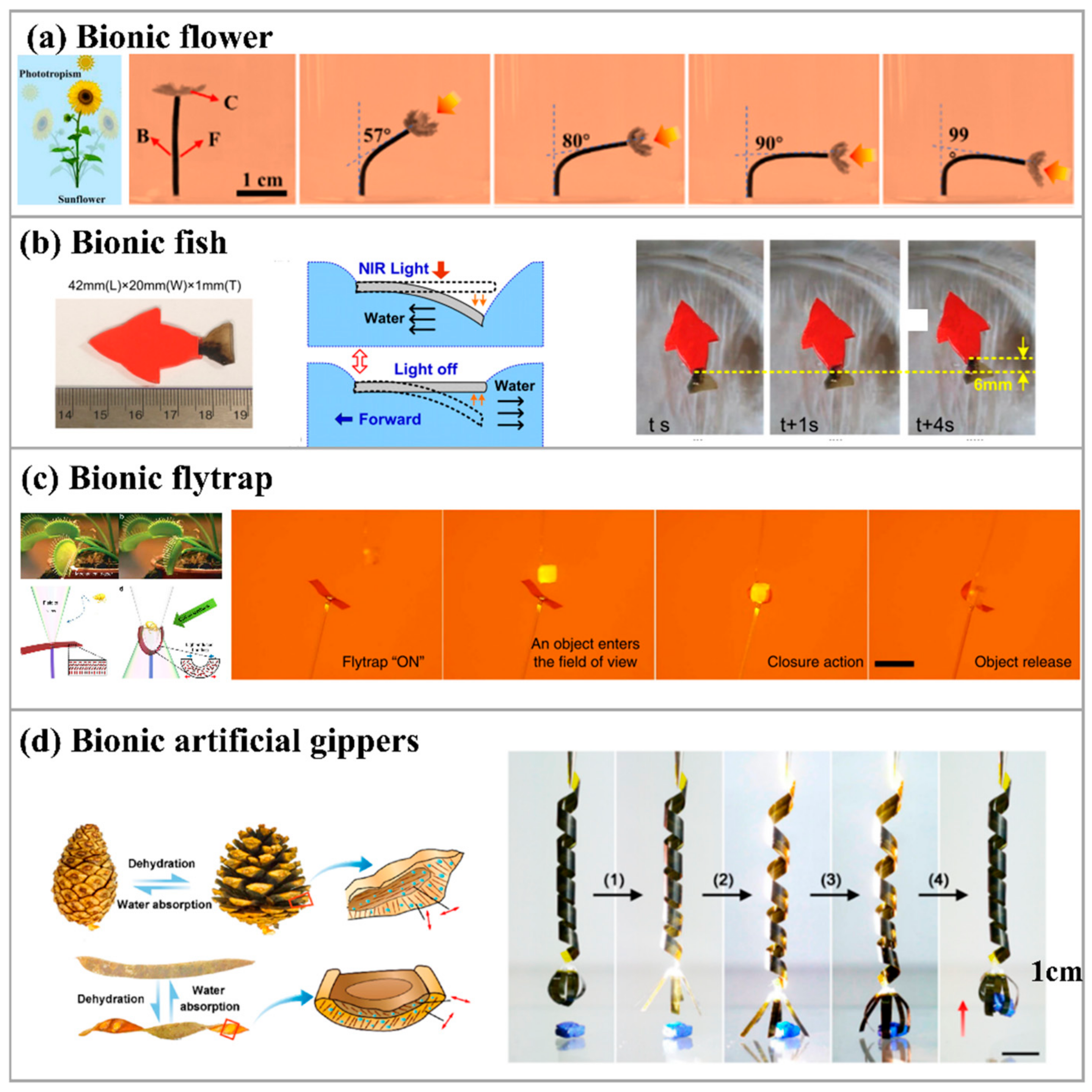 Actuators 10 00298 g009