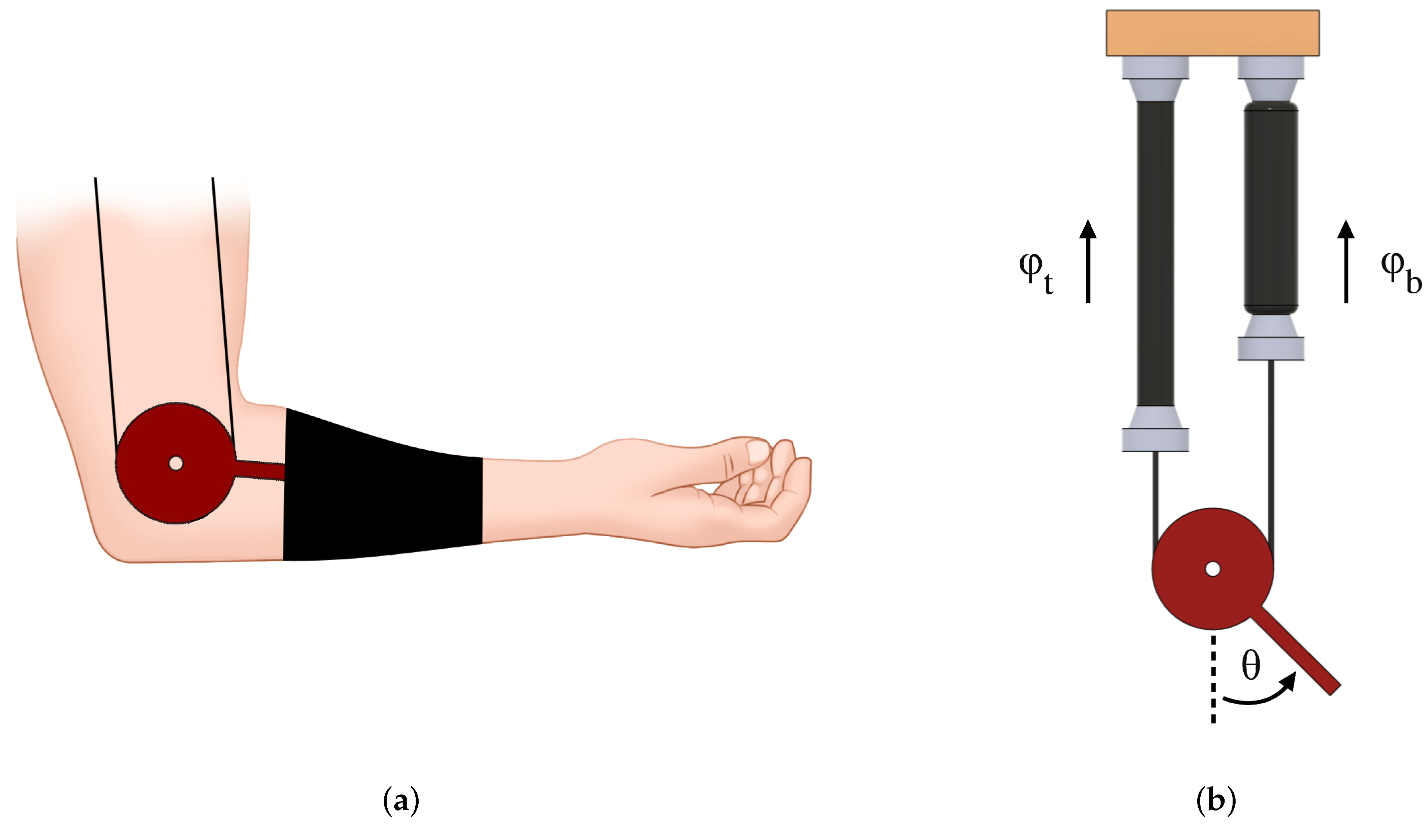 Actuators 11 00032 g003