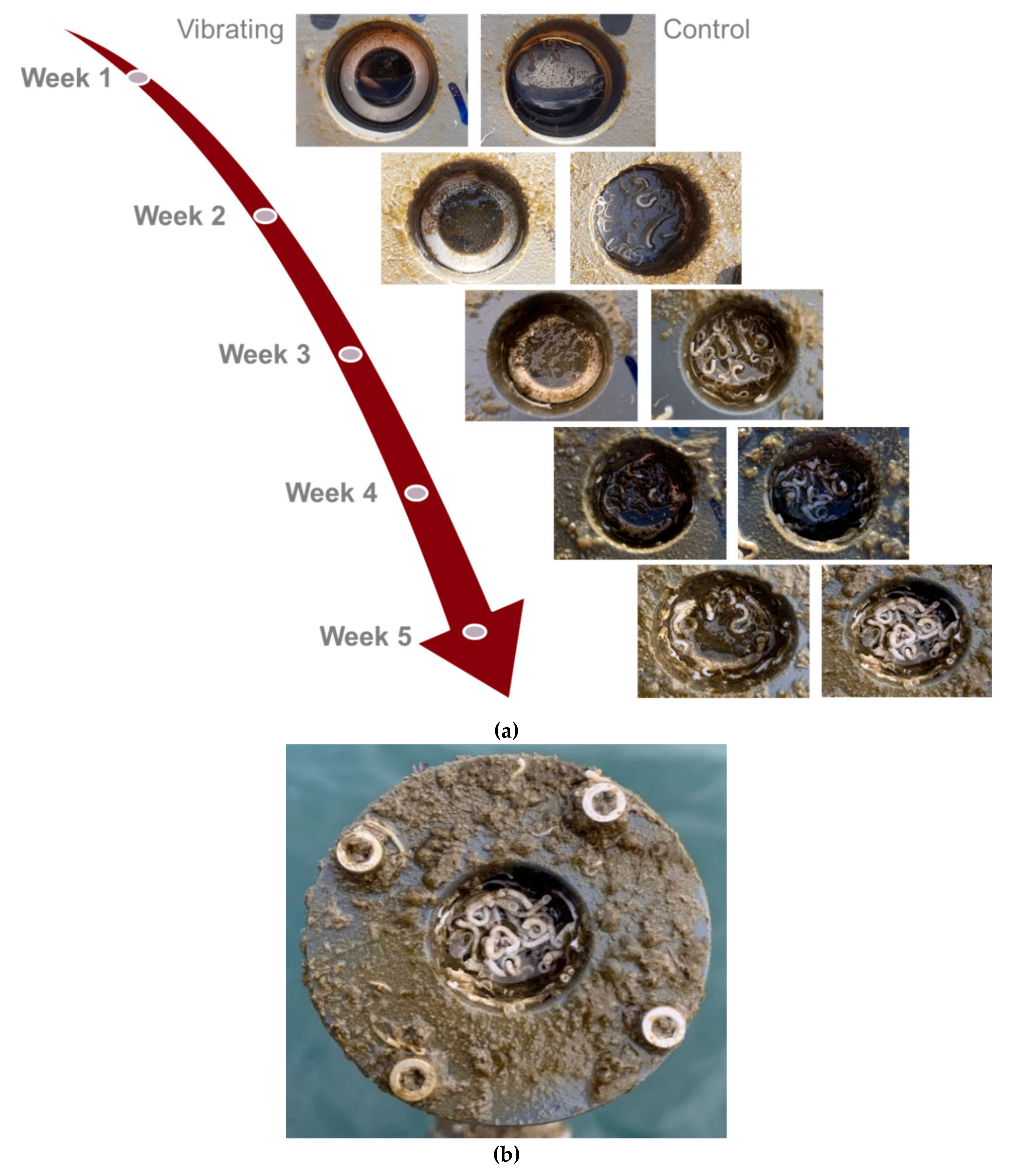 Actuators 11 00047 g010