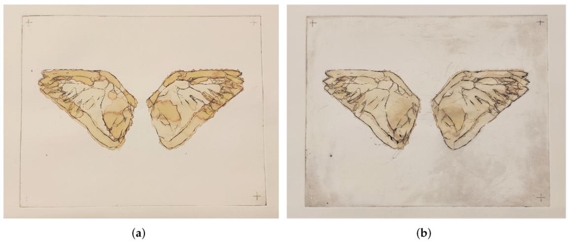 Actuators 11 00062 g018