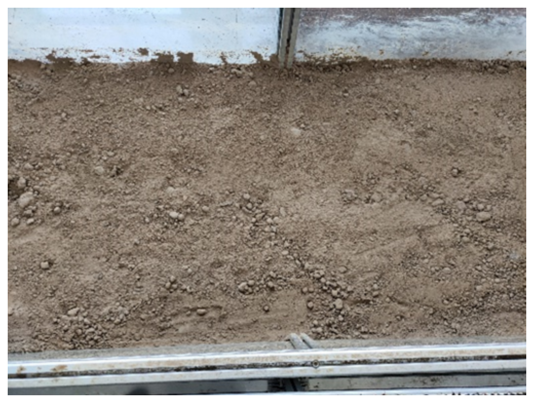 Actuators 11 00087 g002