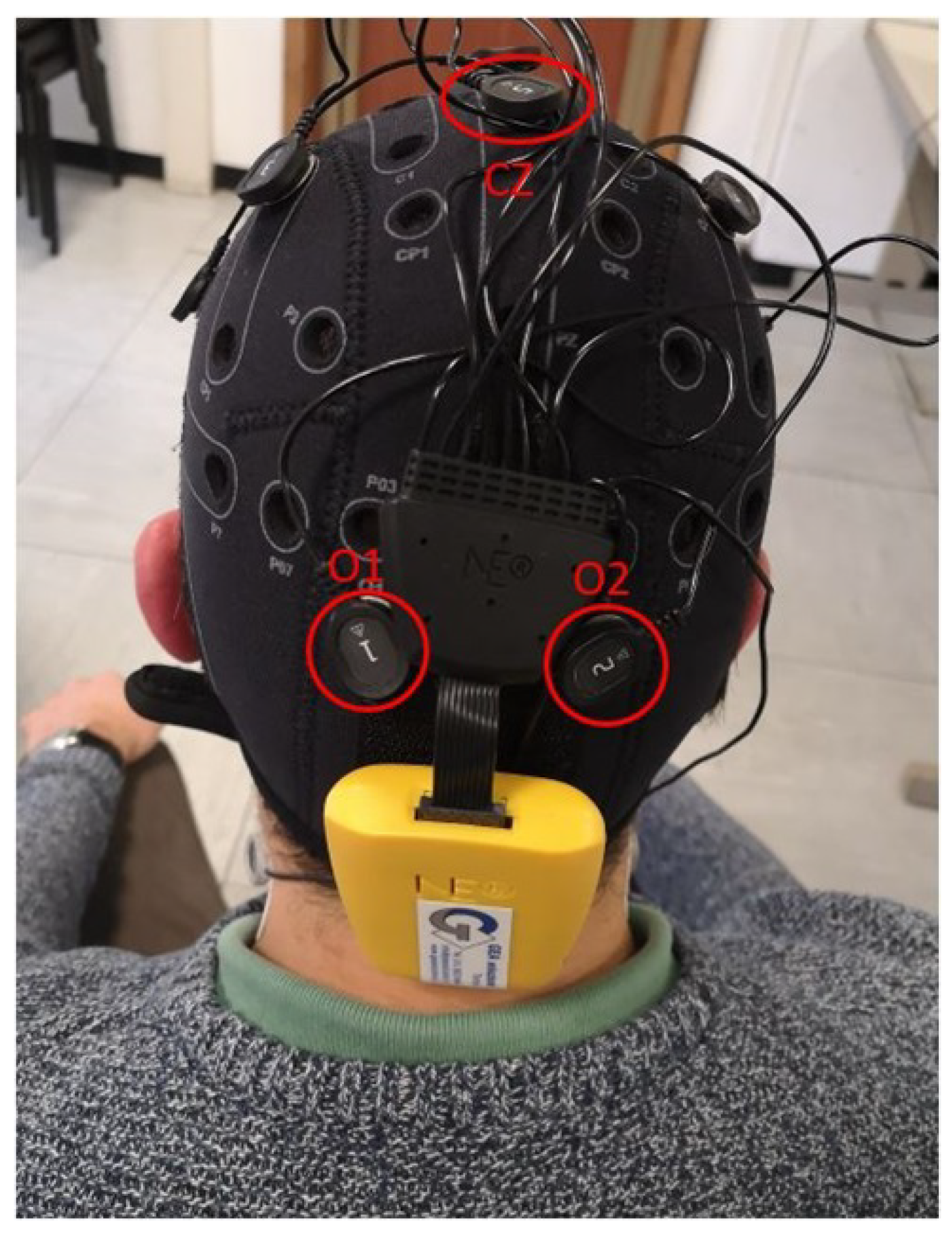 Actuators 11 00161 g003