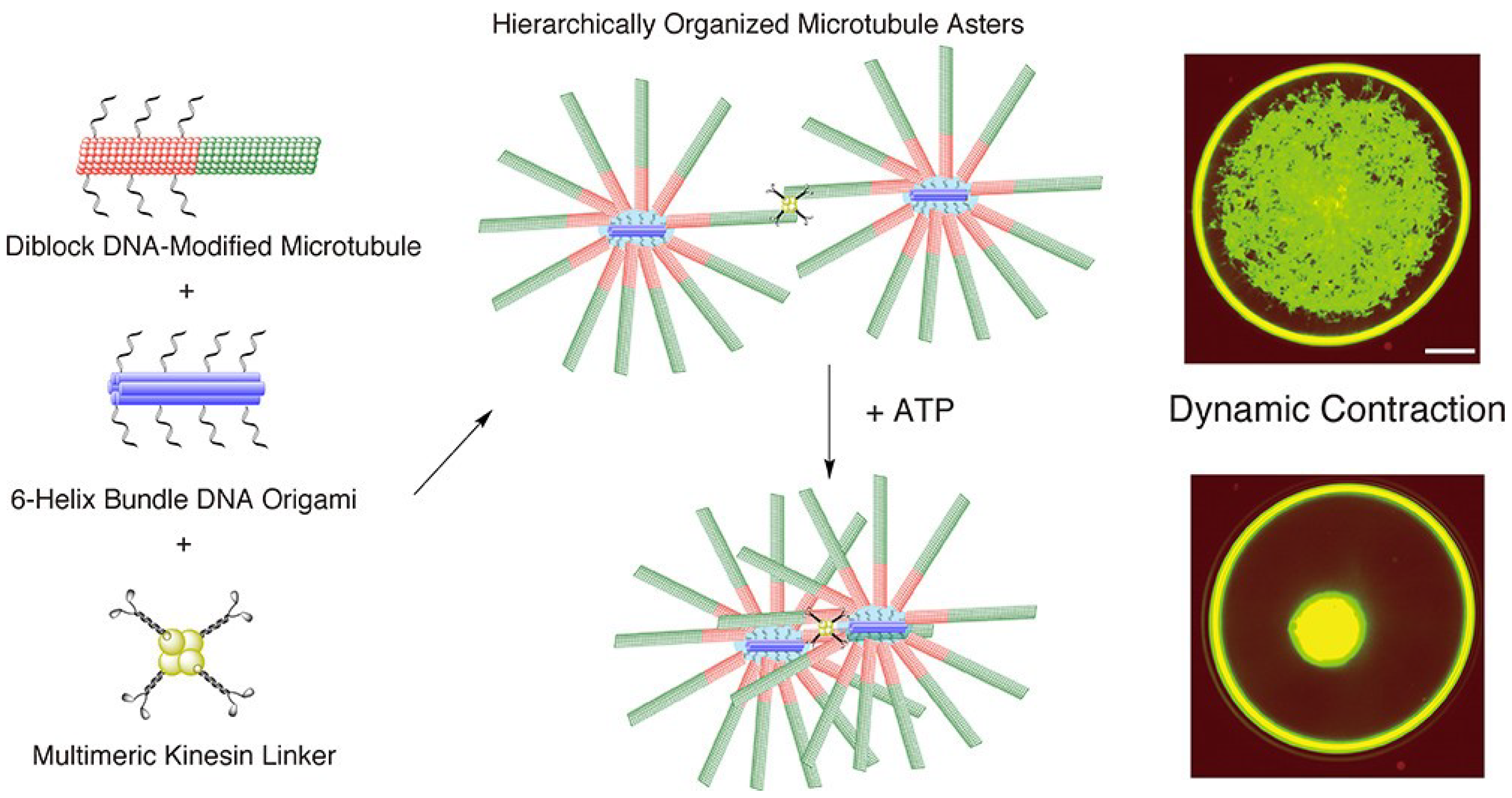 Actuators 11 00168 g010