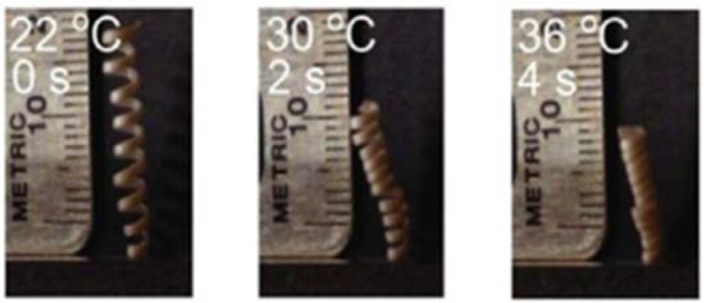 Actuators 11 00168 g016