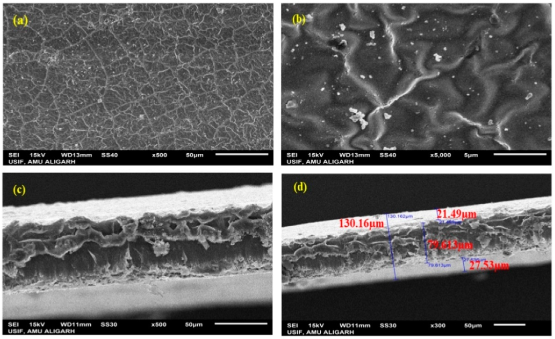 Actuators 11 00183 g009