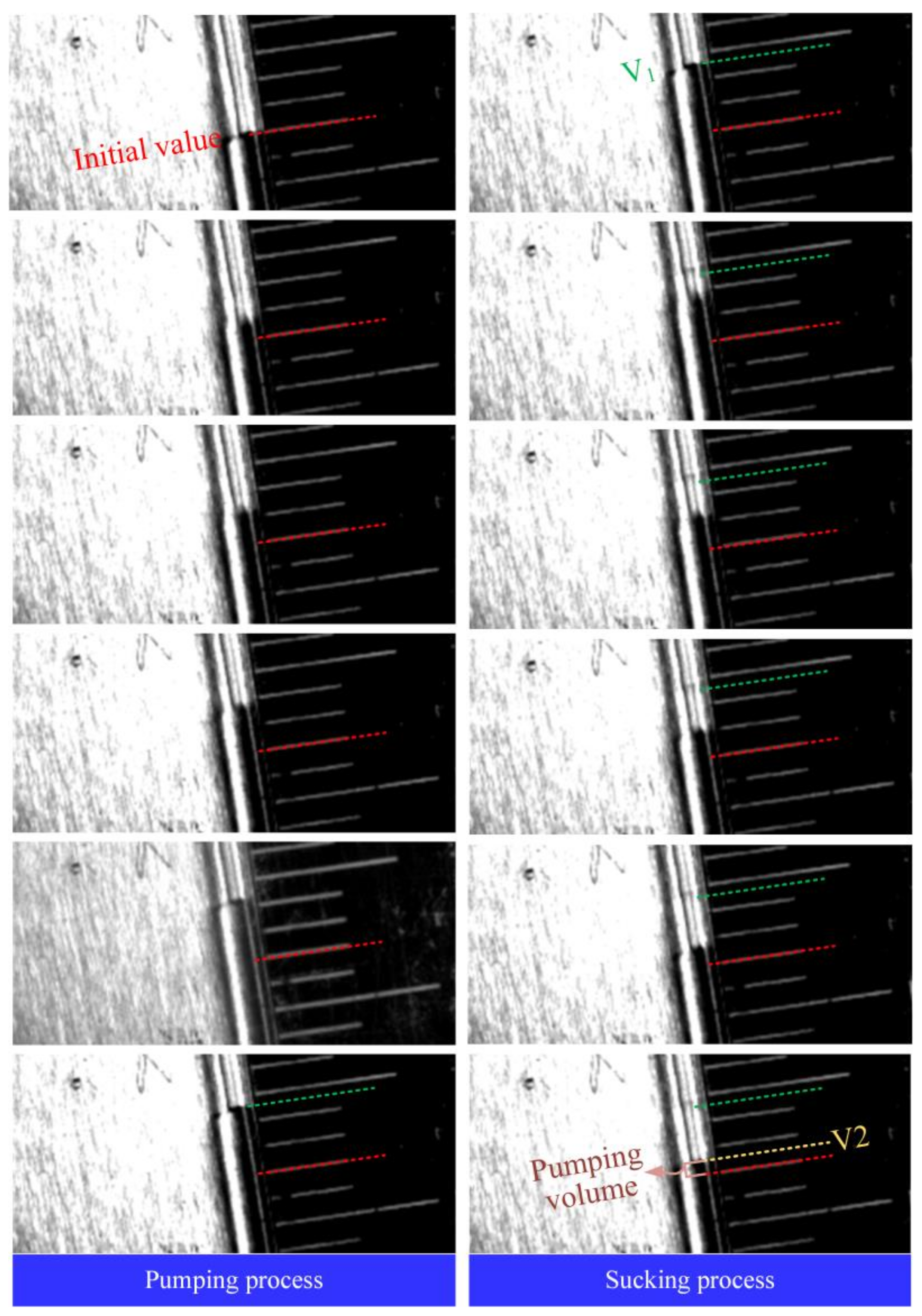 Actuators 11 00218 g011