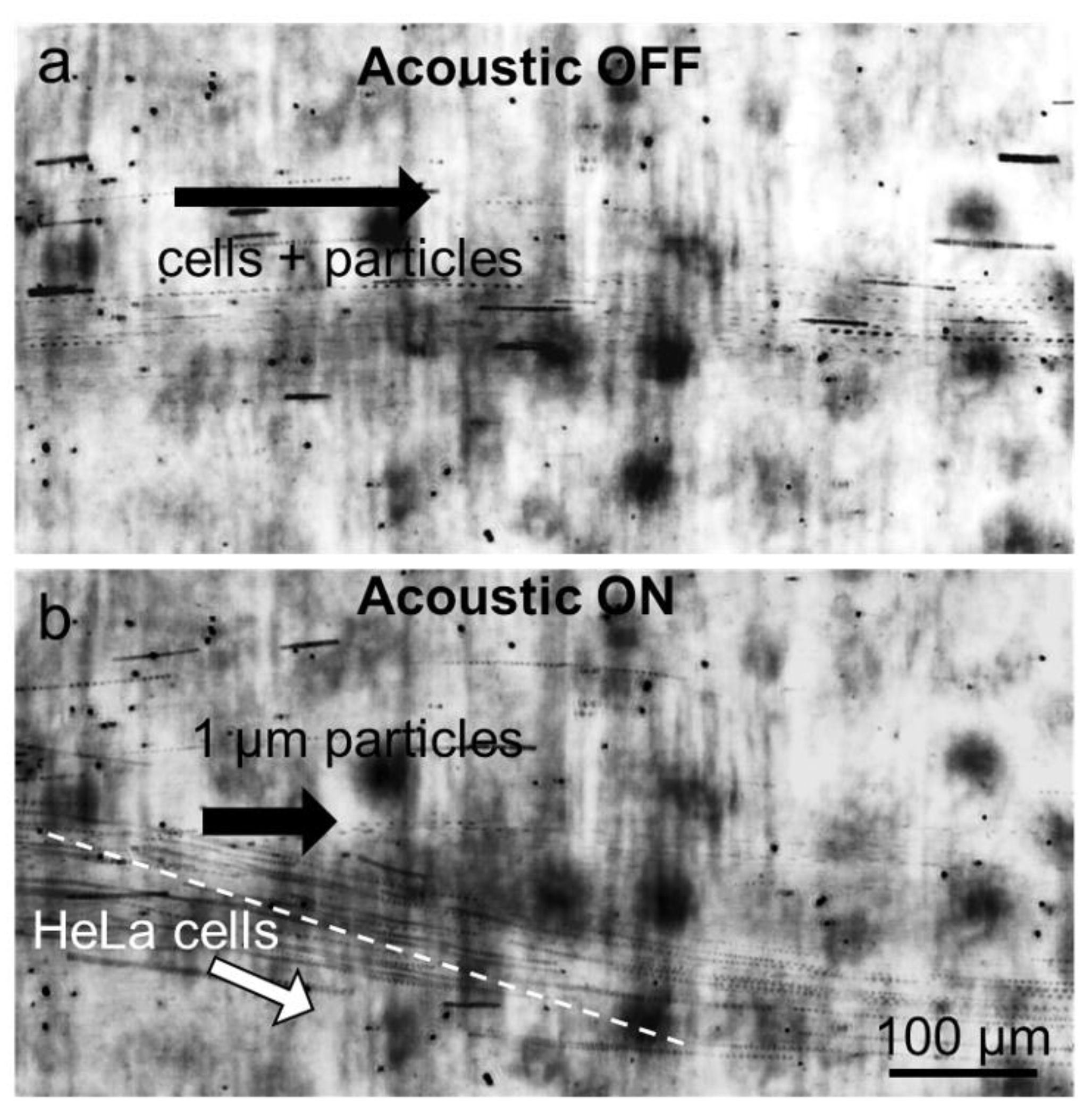 Actuators 11 00249 g005