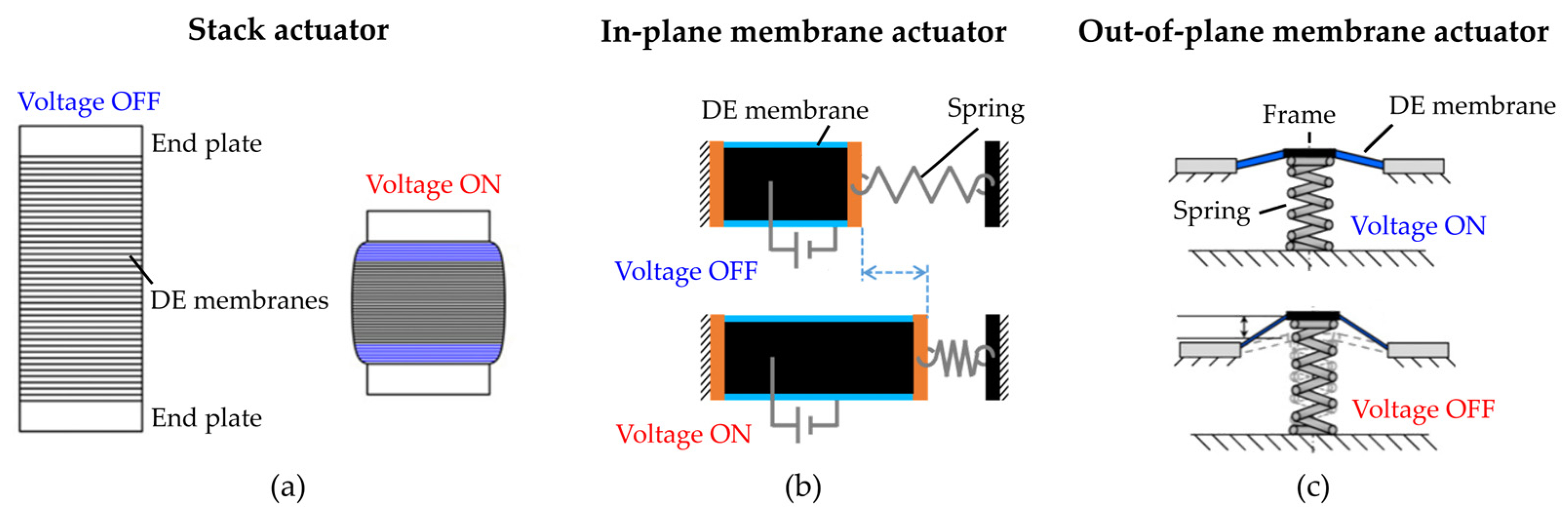 Actuators 12 00046 g003