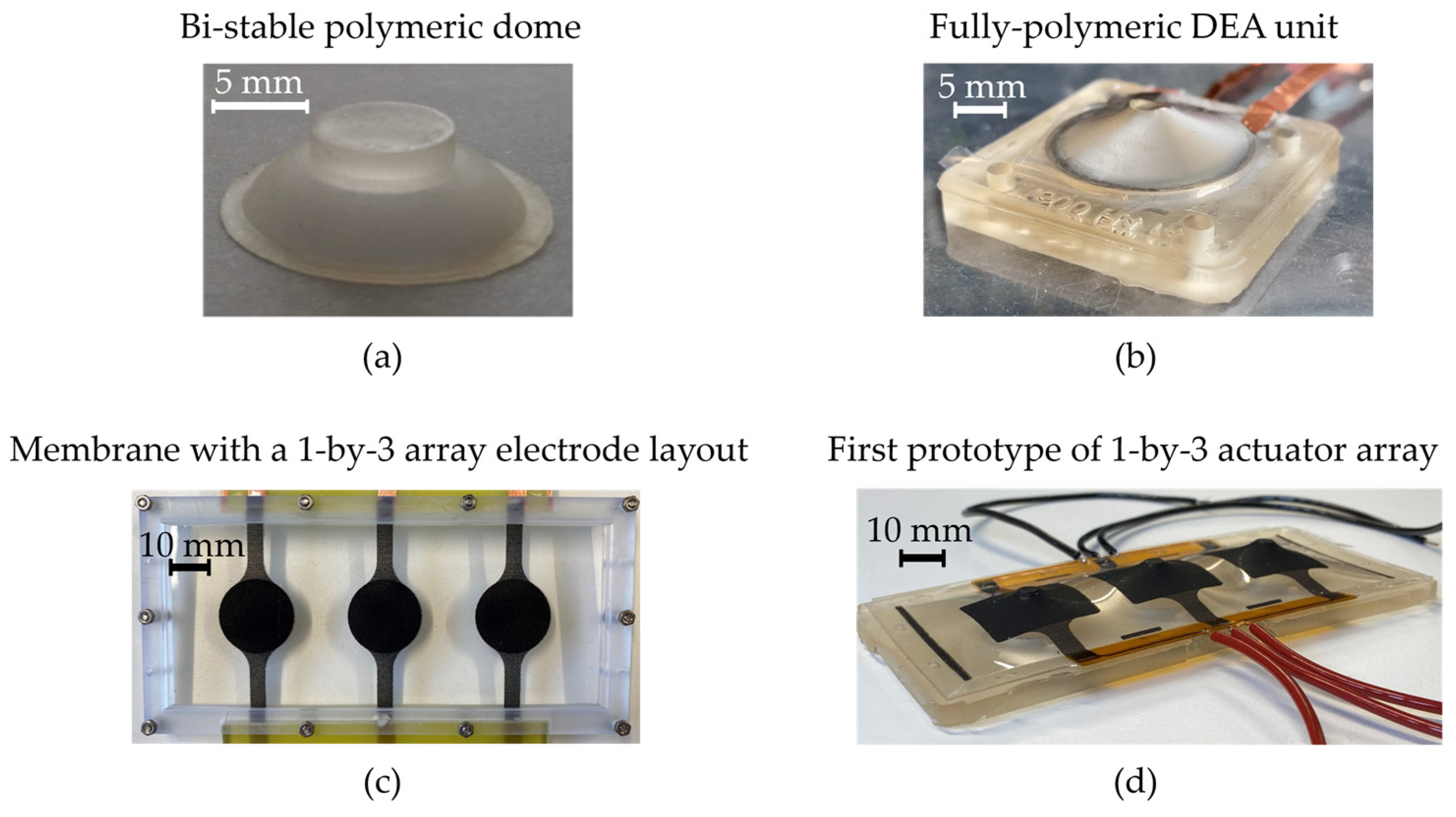 Actuators 12 00046 g007