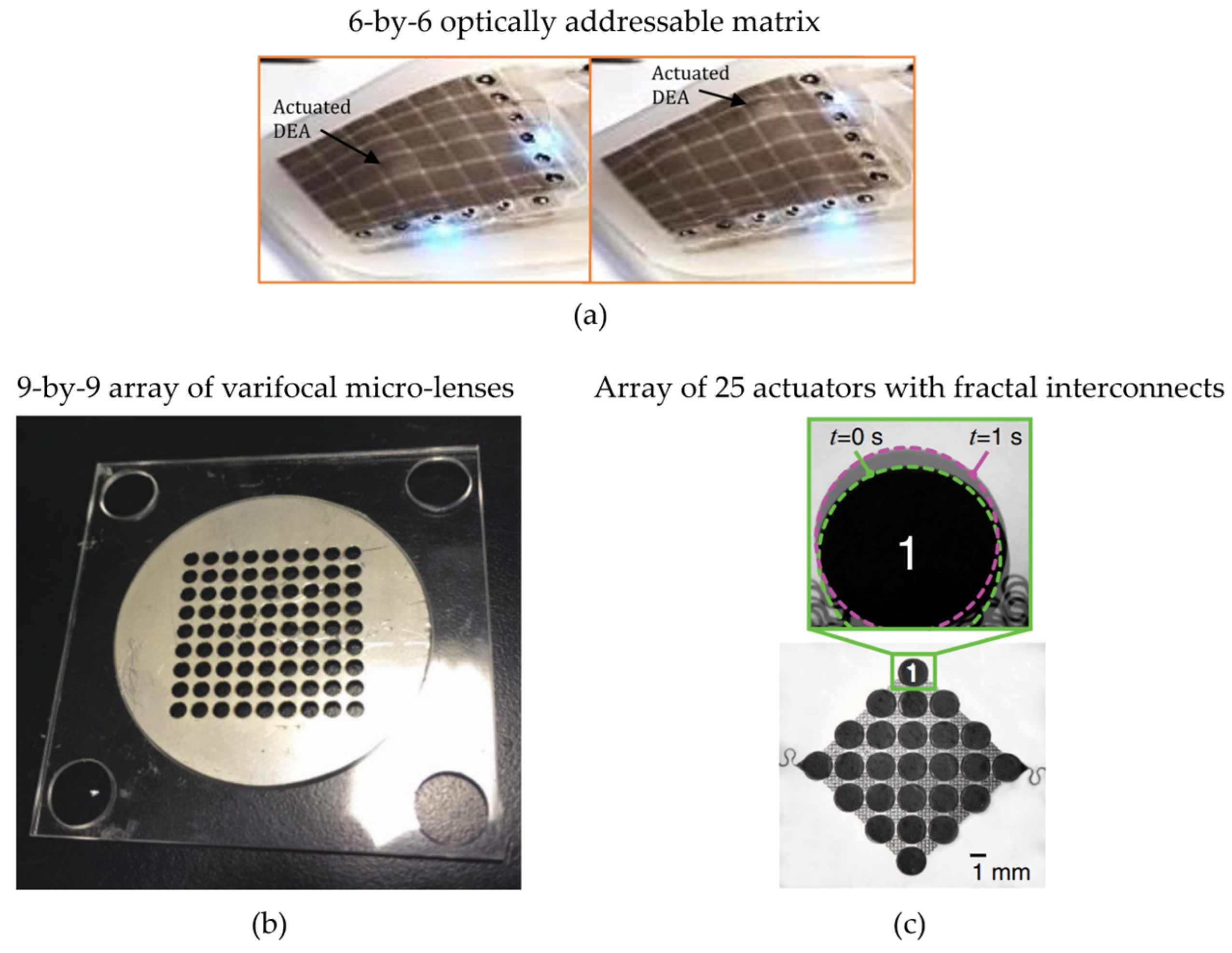 Actuators 12 00046 g010
