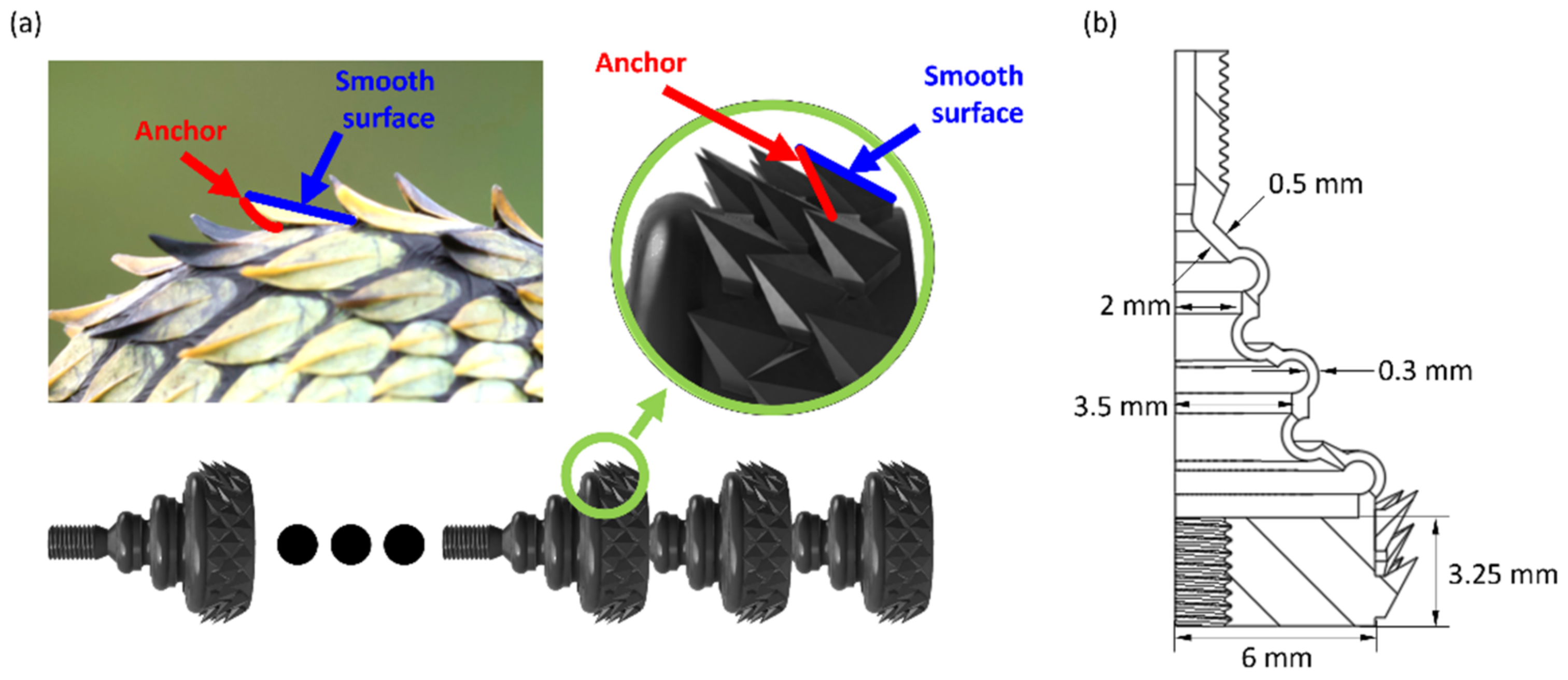 Actuators 12 00062 g001