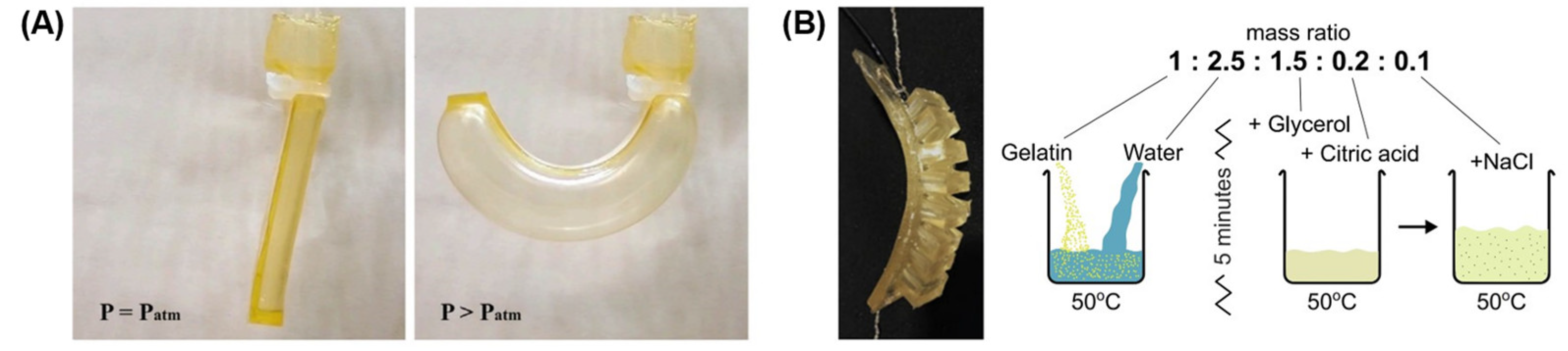 Actuators 12 00063 g003