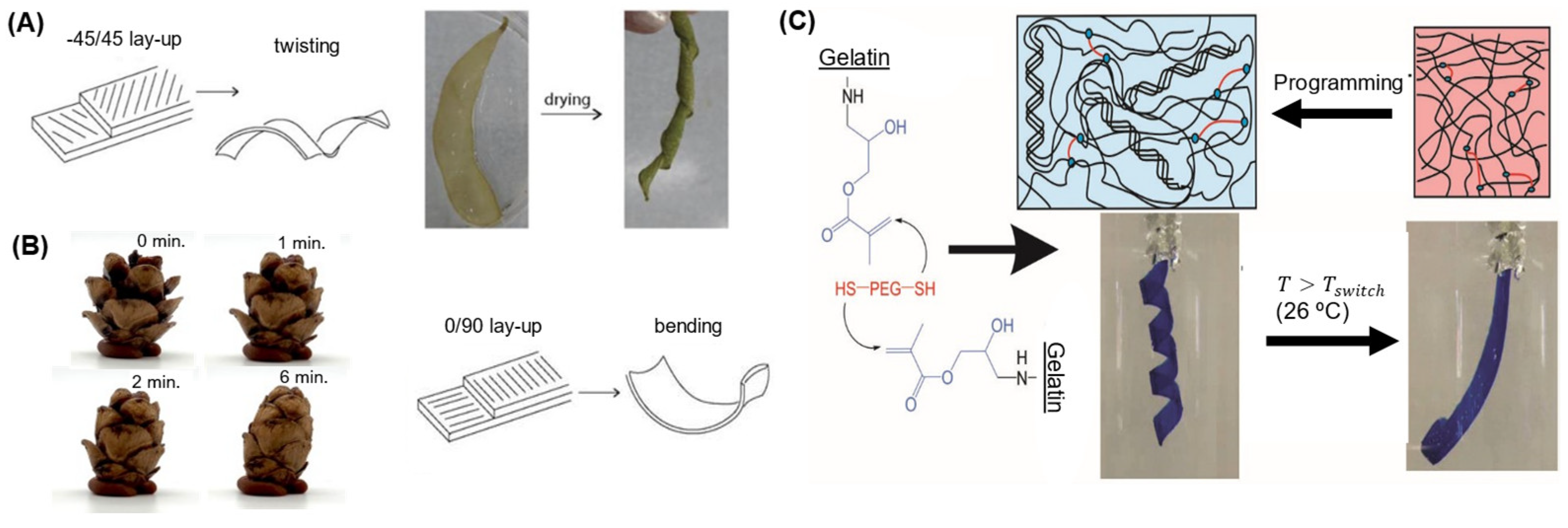 Actuators 12 00063 g005
