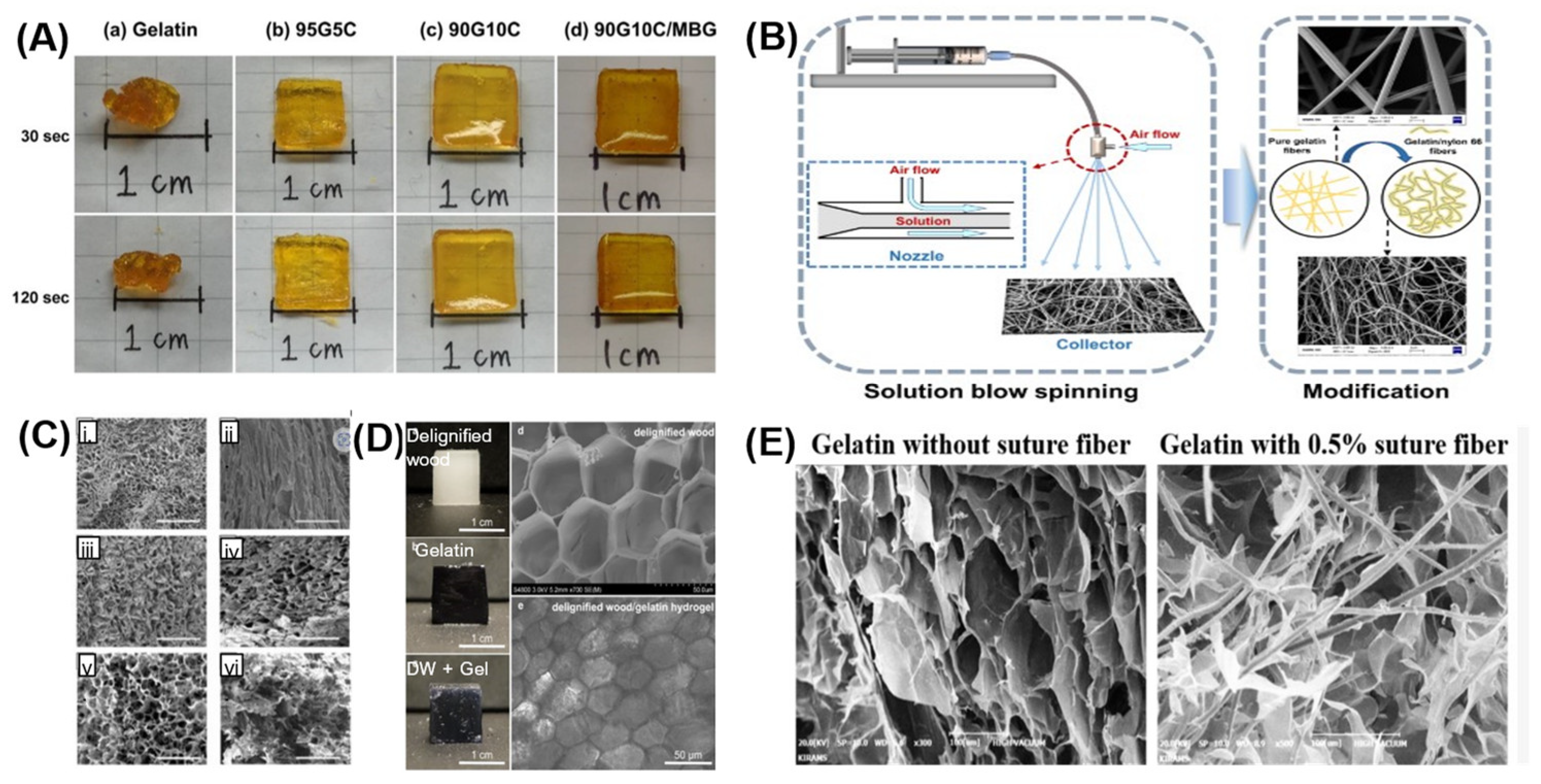 Actuators 12 00063 g006