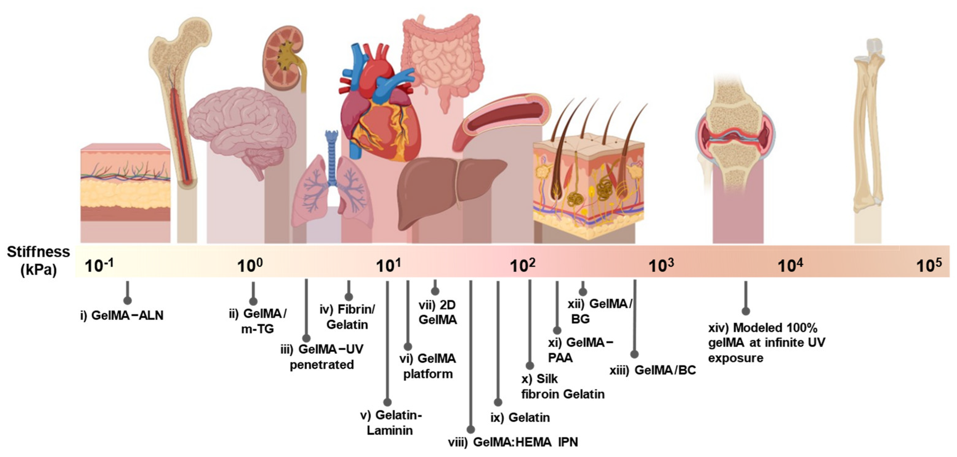 Actuators 12 00063 g009
