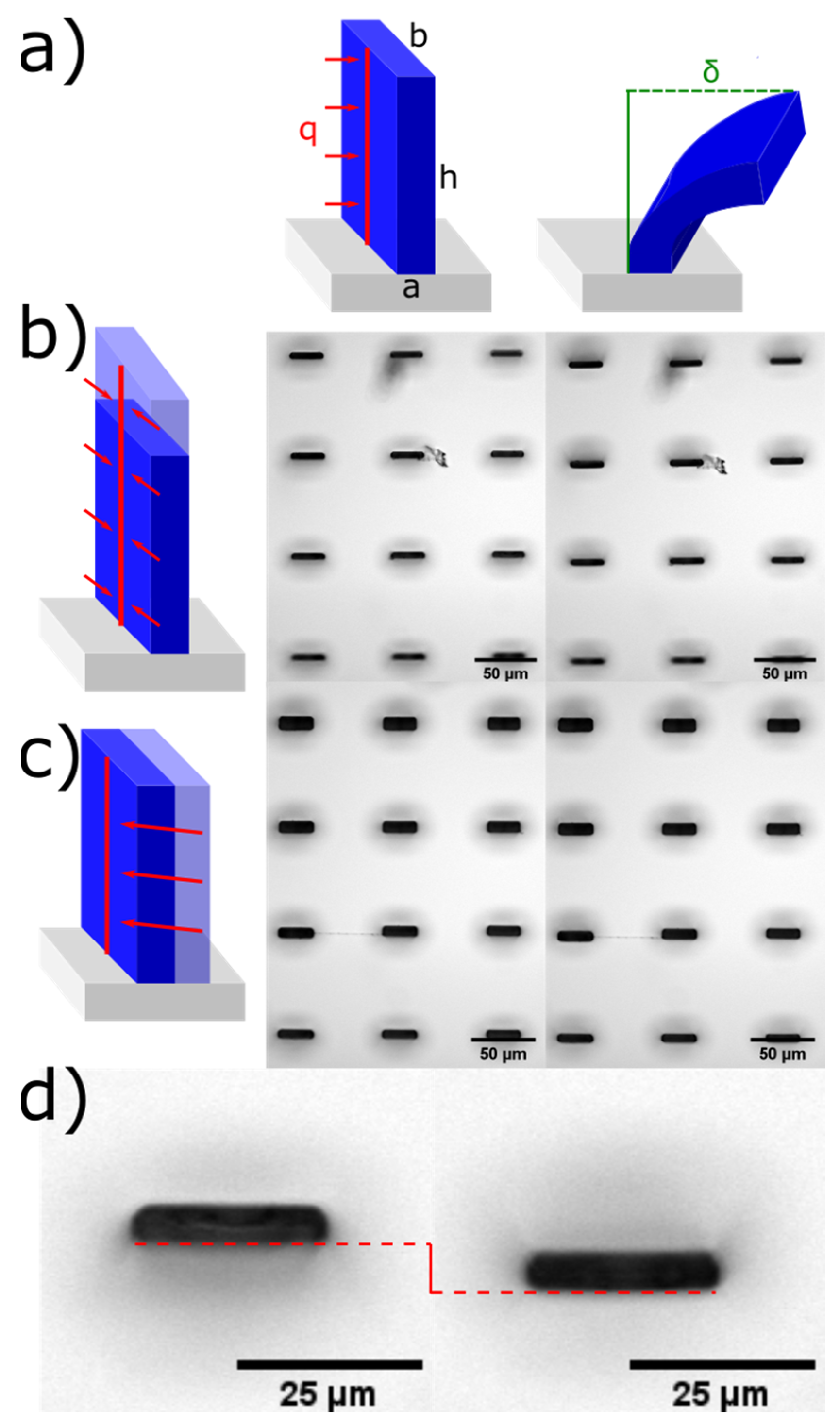 Actuators 12 00124 g003