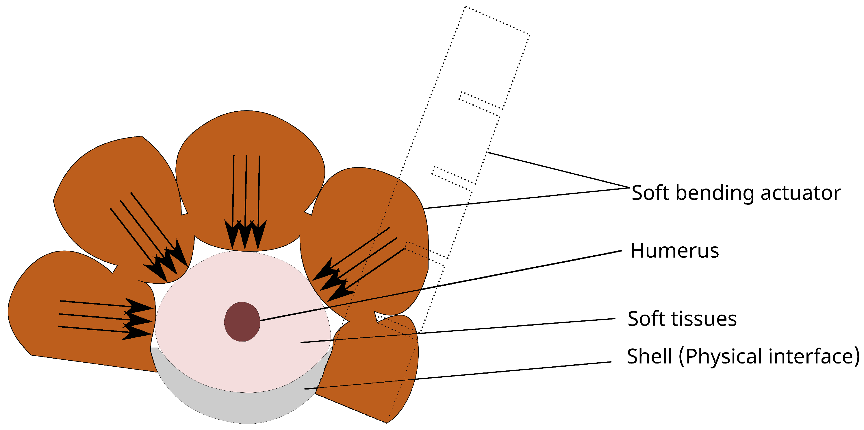 Actuators 12 00241 g003