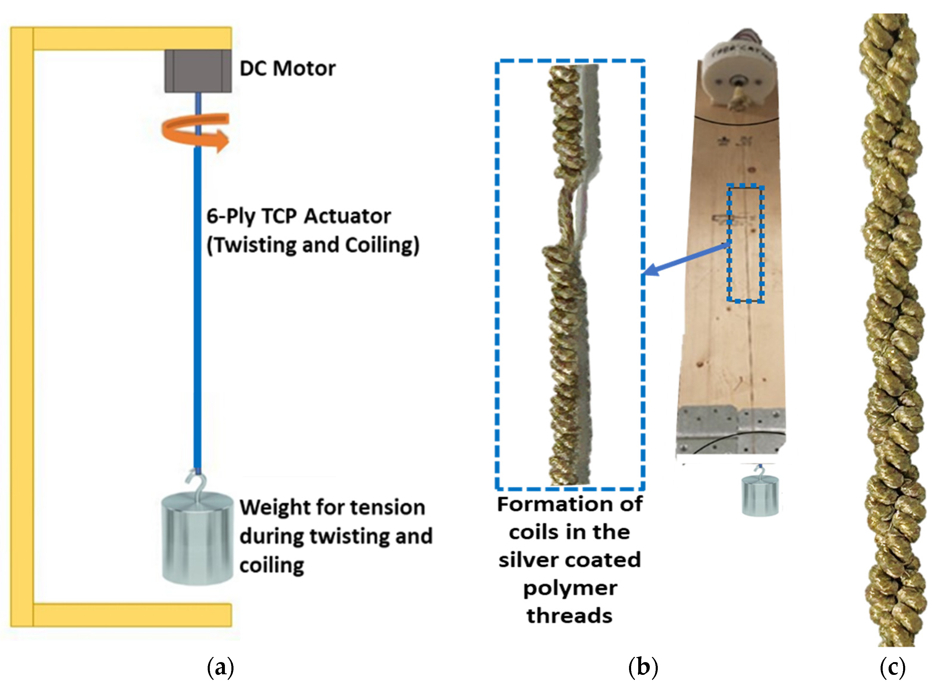 Actuators 12 00312 g003