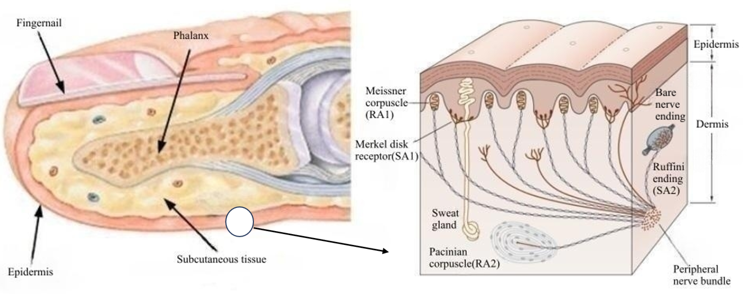 Actuators 12 00331 g001