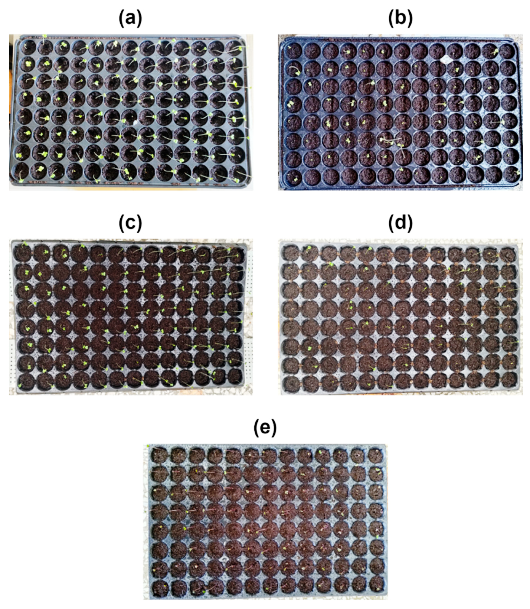 Actuators 12 00340 g017 Actuators 12 00340 g017