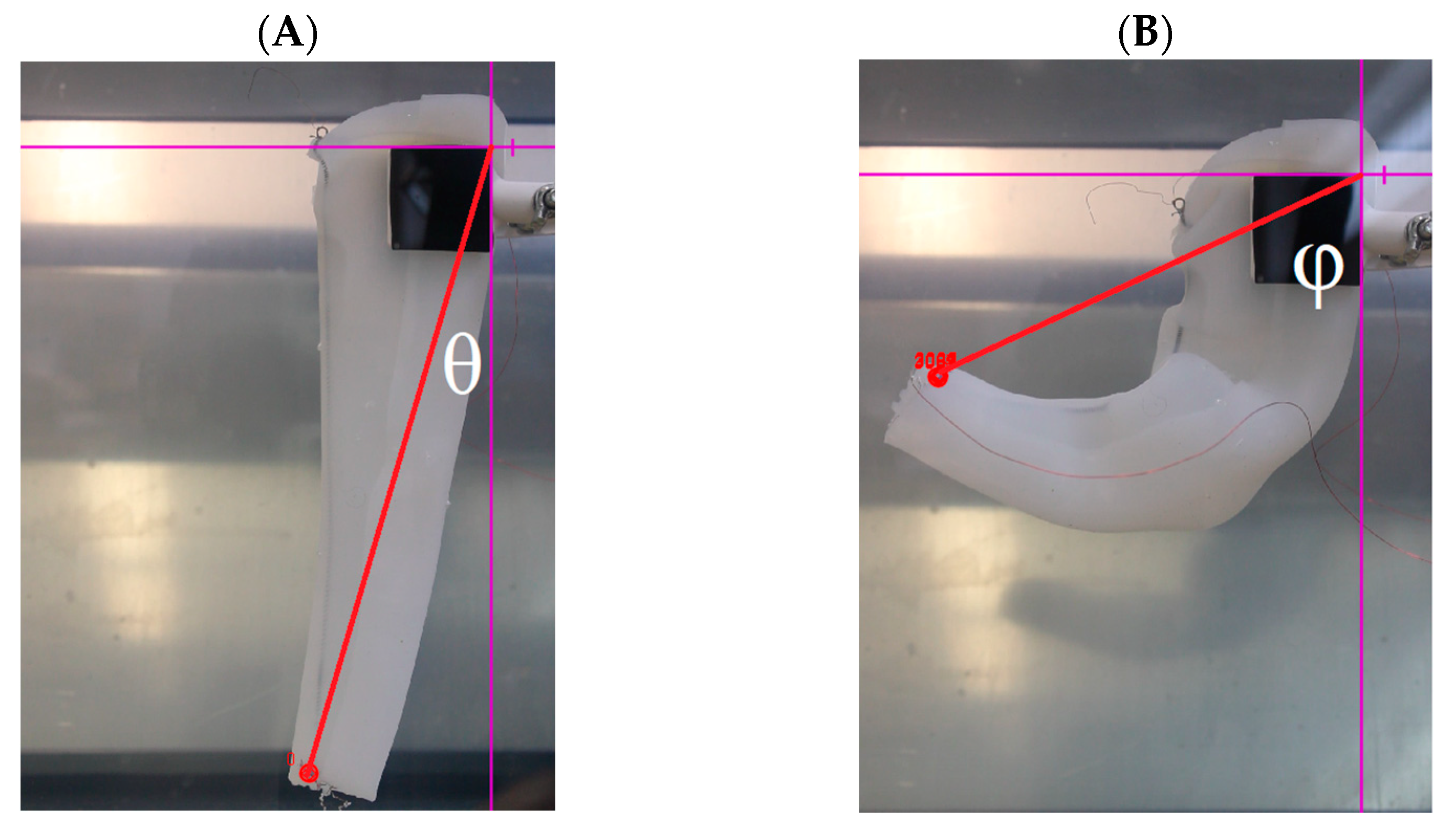 Actuators 12 00377 g004