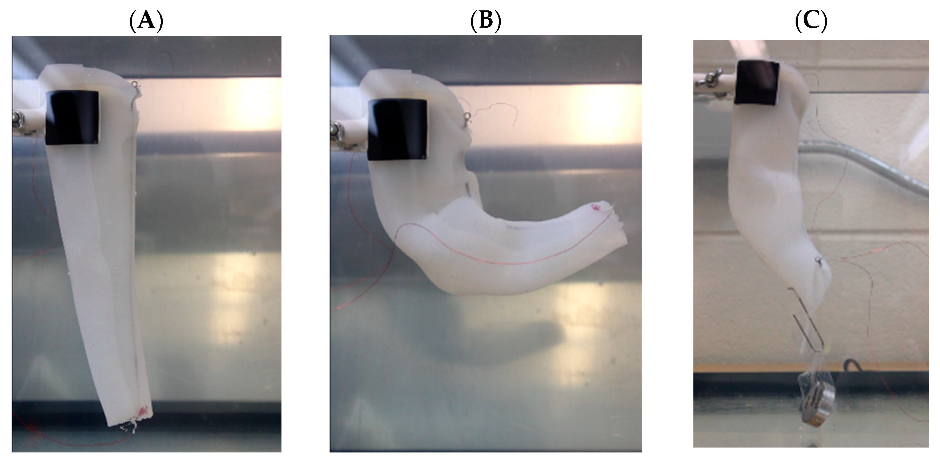 Actuators 12 00377 g005