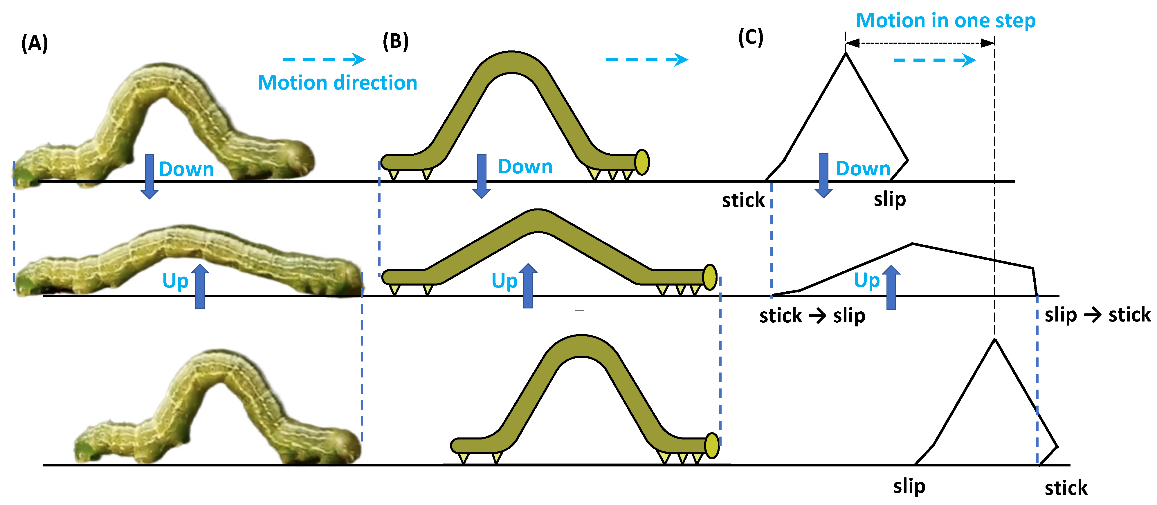 Actuators 13 00004 g001