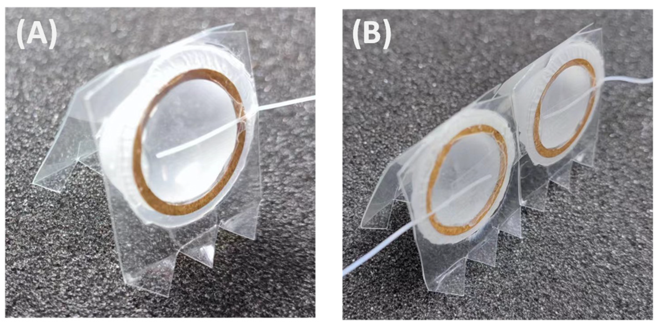 Actuators 13 00004 g003