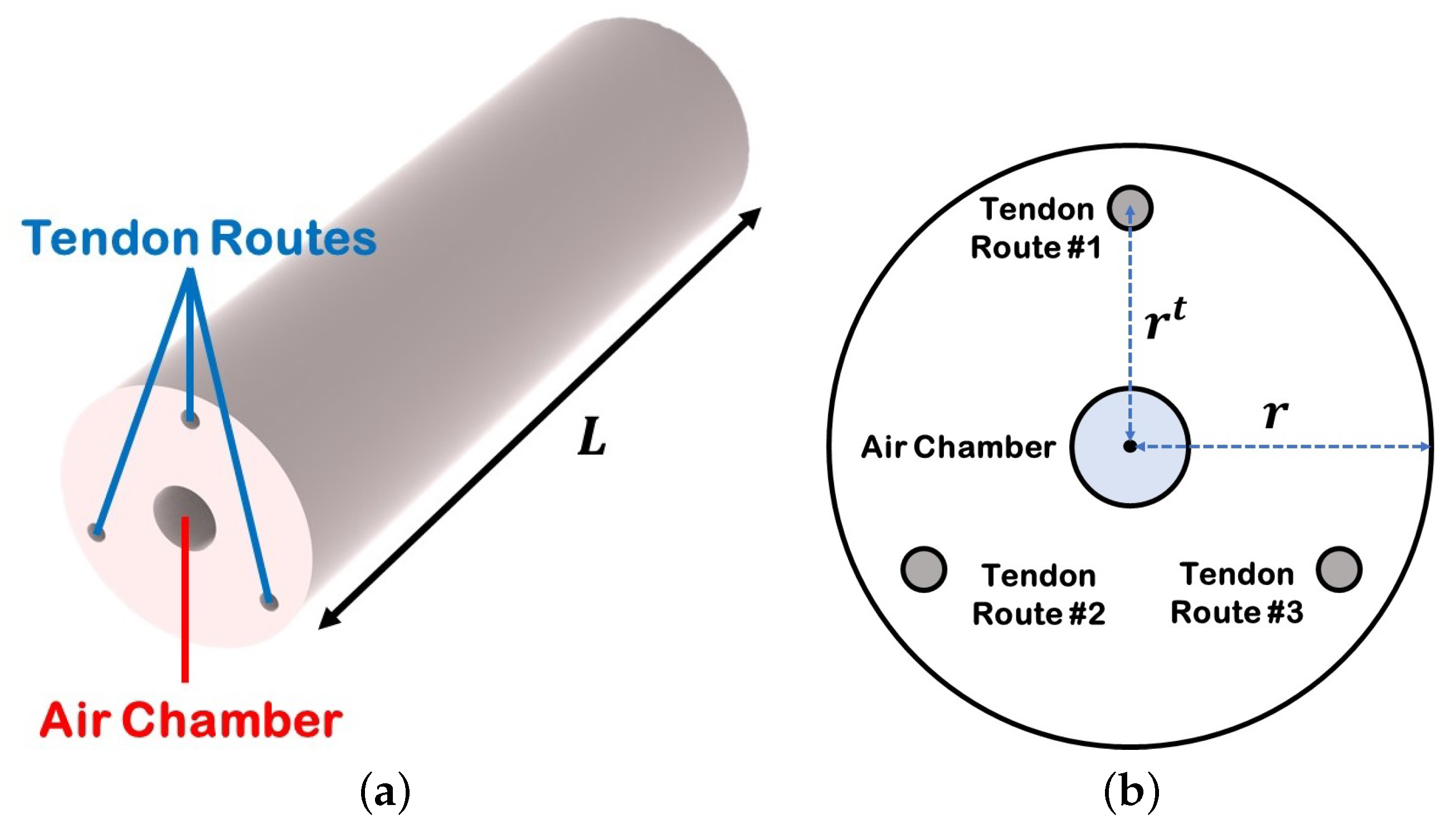 Actuators 13 00008 g002