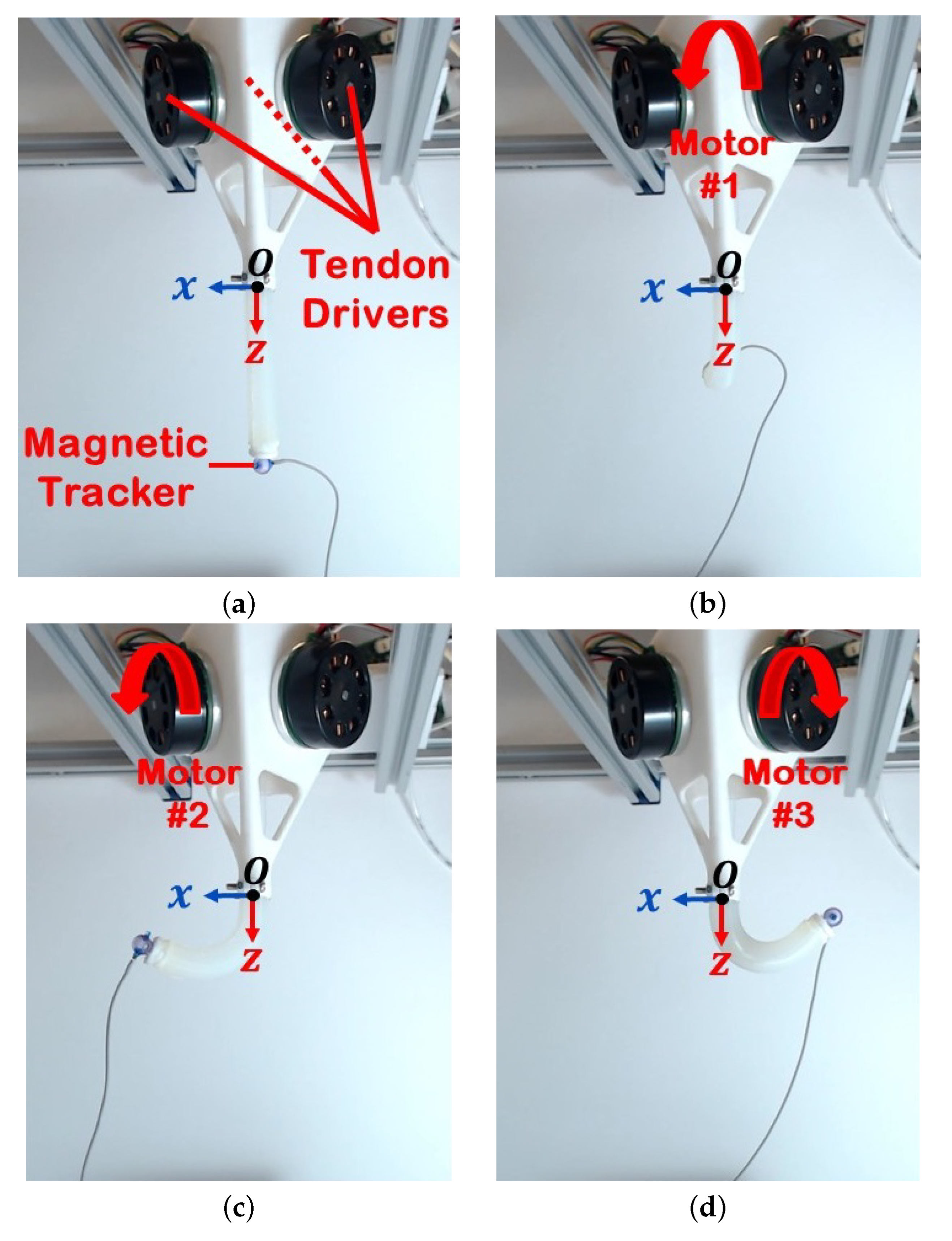 Actuators 13 00008 g006