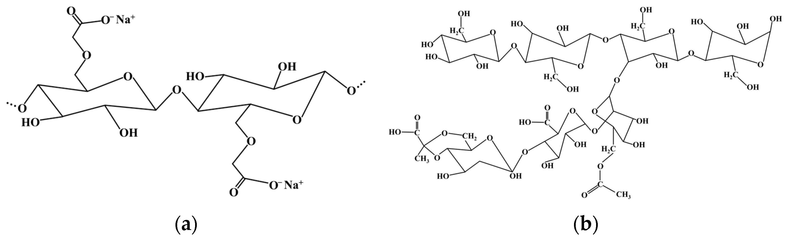 Actuators 13 00009 g003