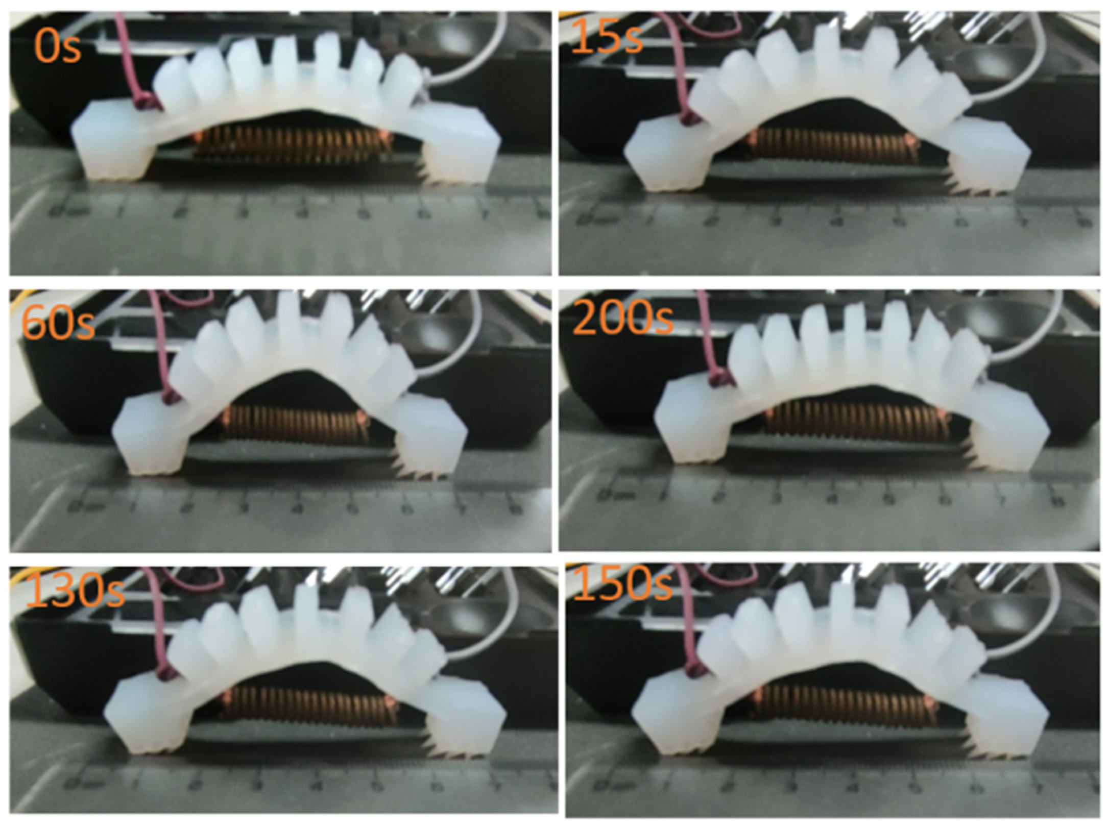 Actuators 13 00043 g019