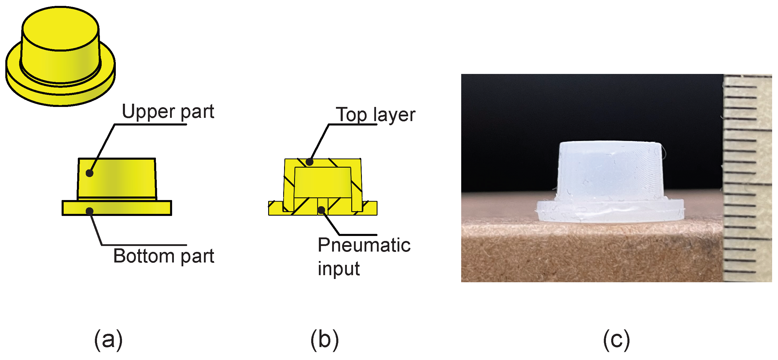 Actuators 13 00045 g001