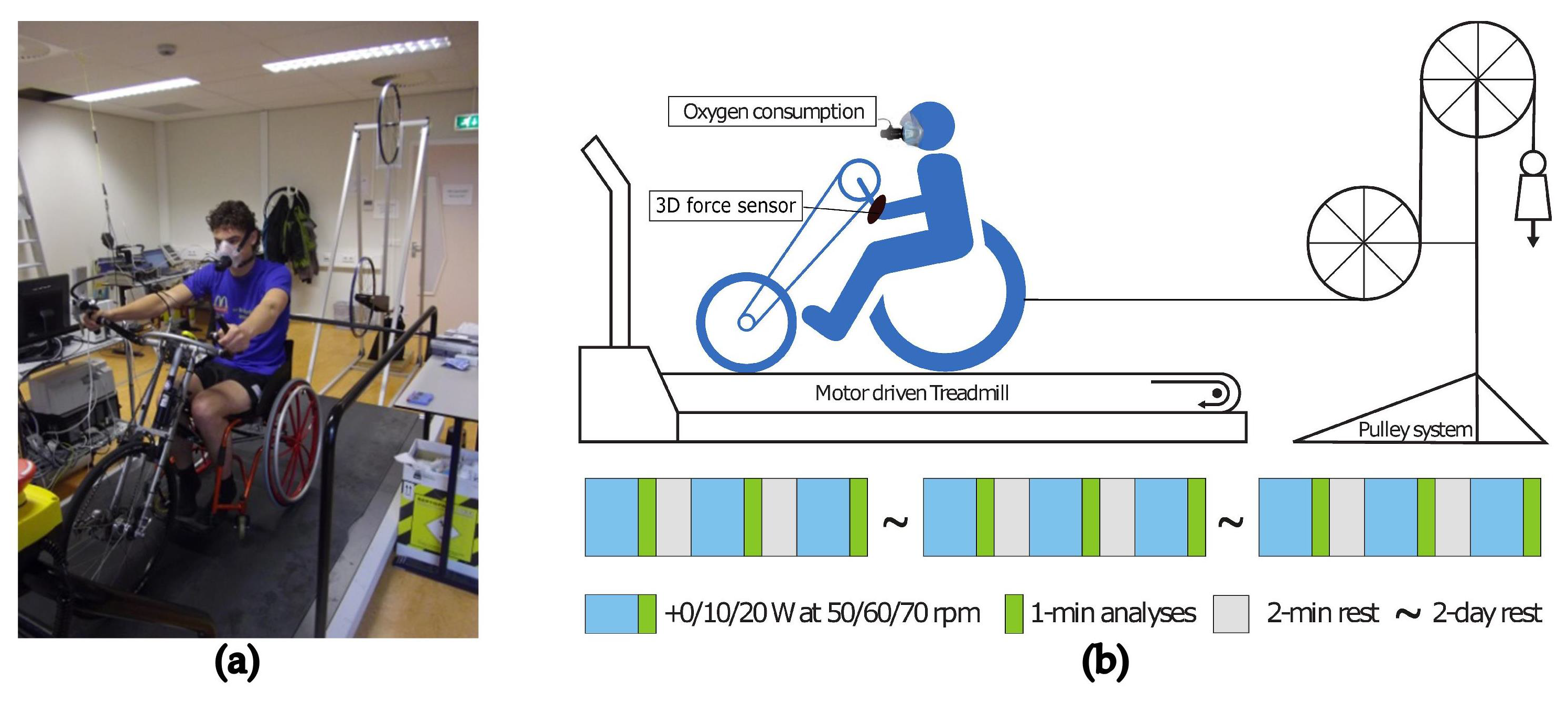 Actuators 13 00050 g008