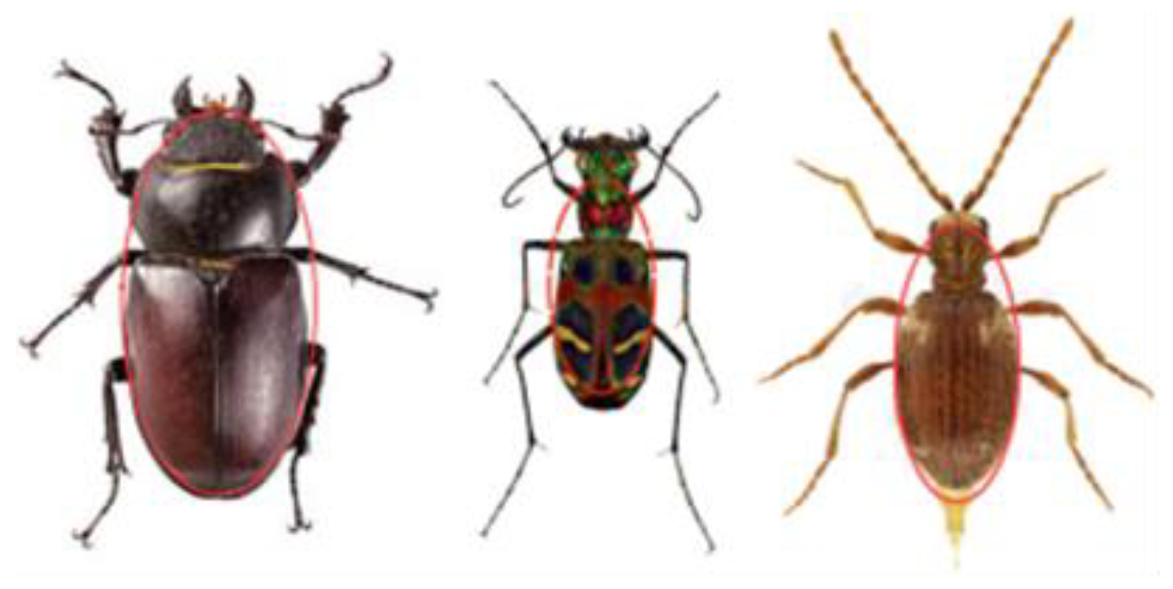 Actuators 13 00079 g002