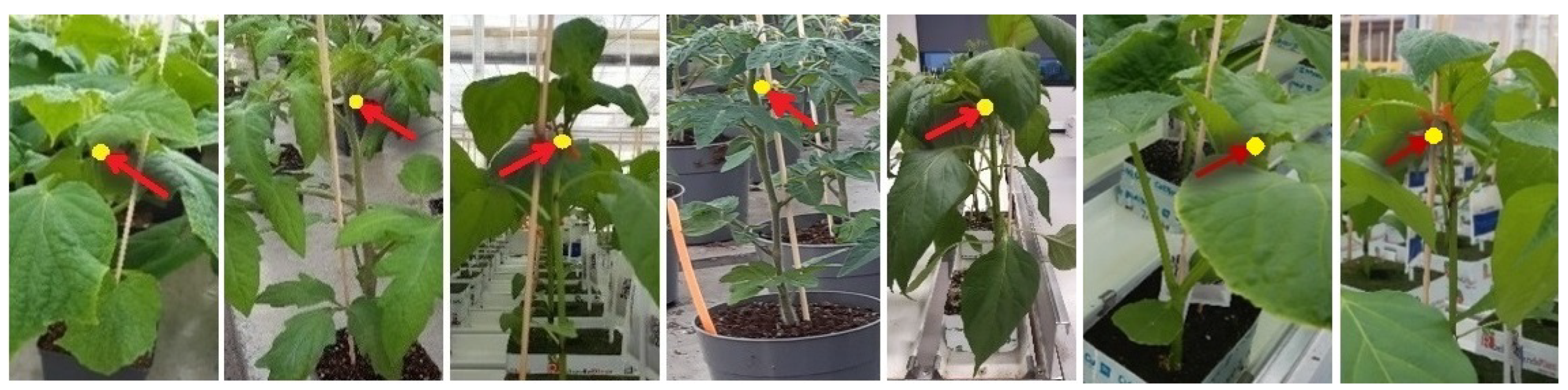 Actuators 13 00081 g002