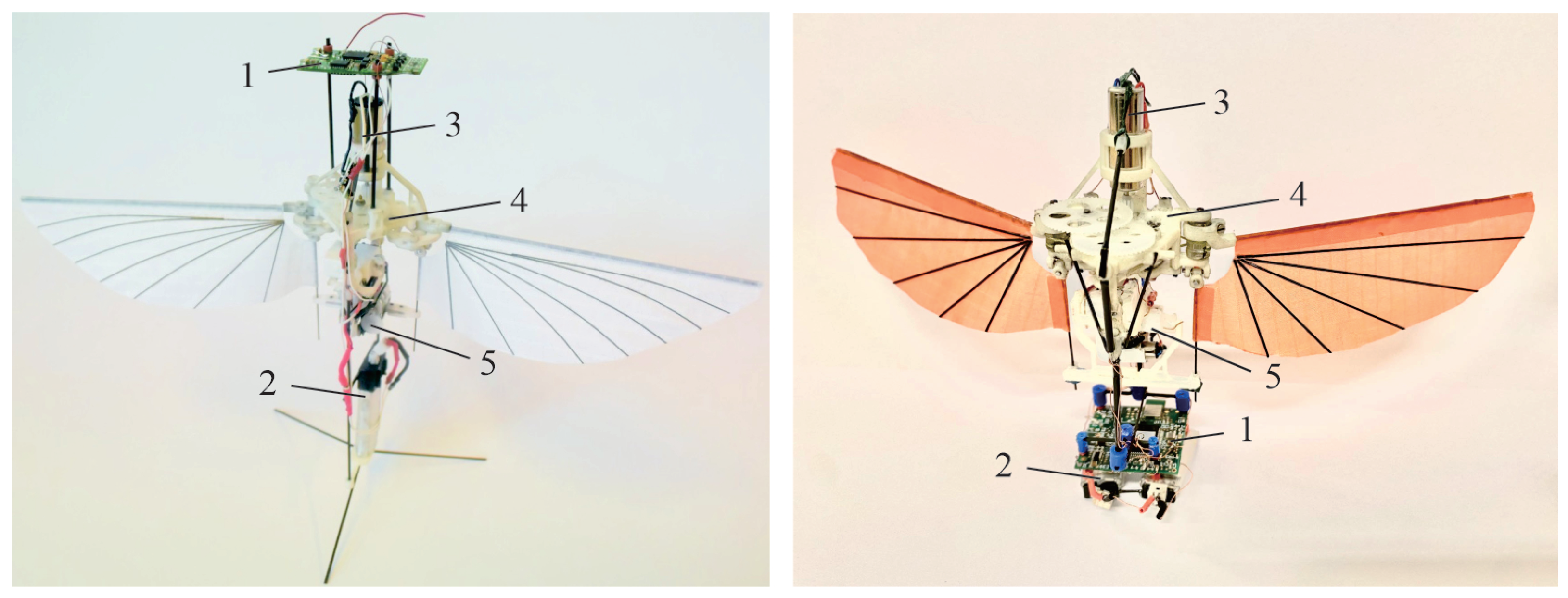 Actuators 13 00091 g001