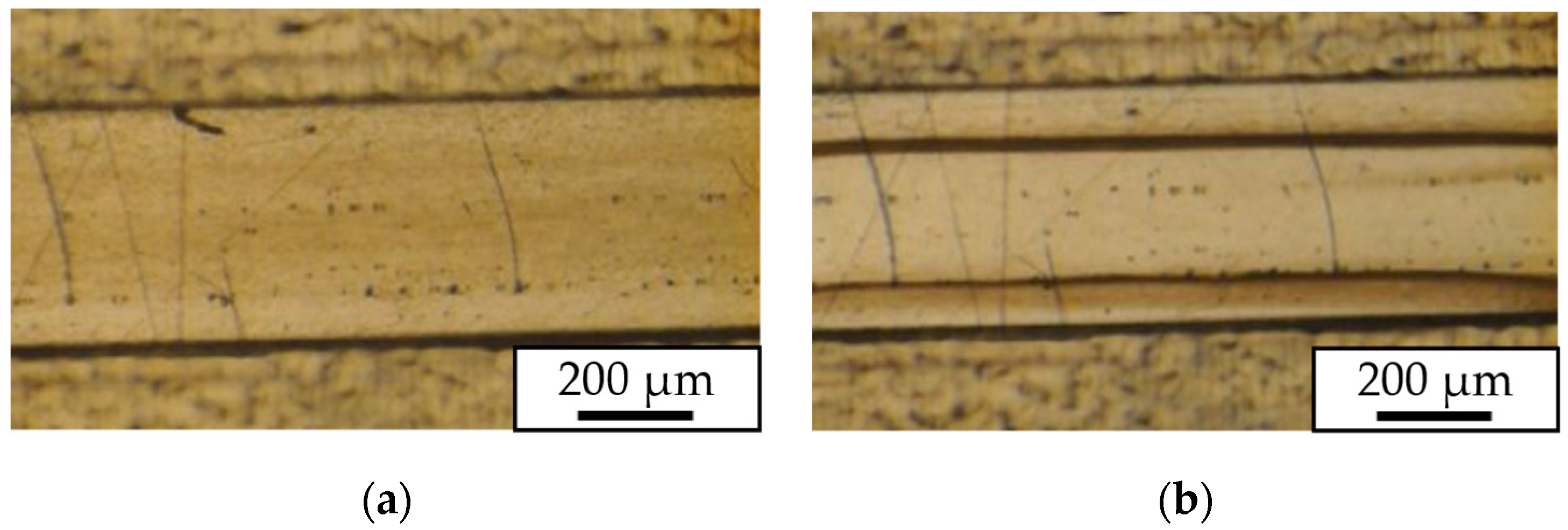 Actuators 13 00095 g010