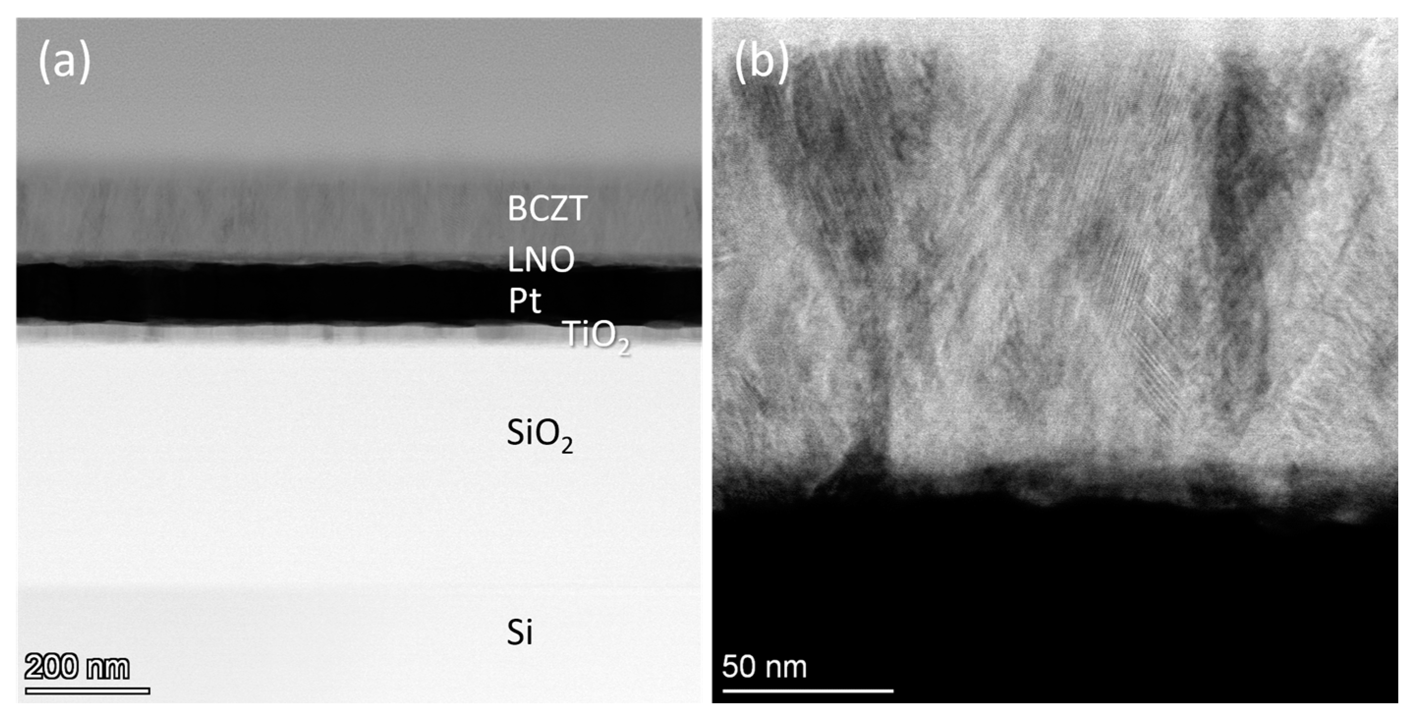 Actuators 13 00115 g002