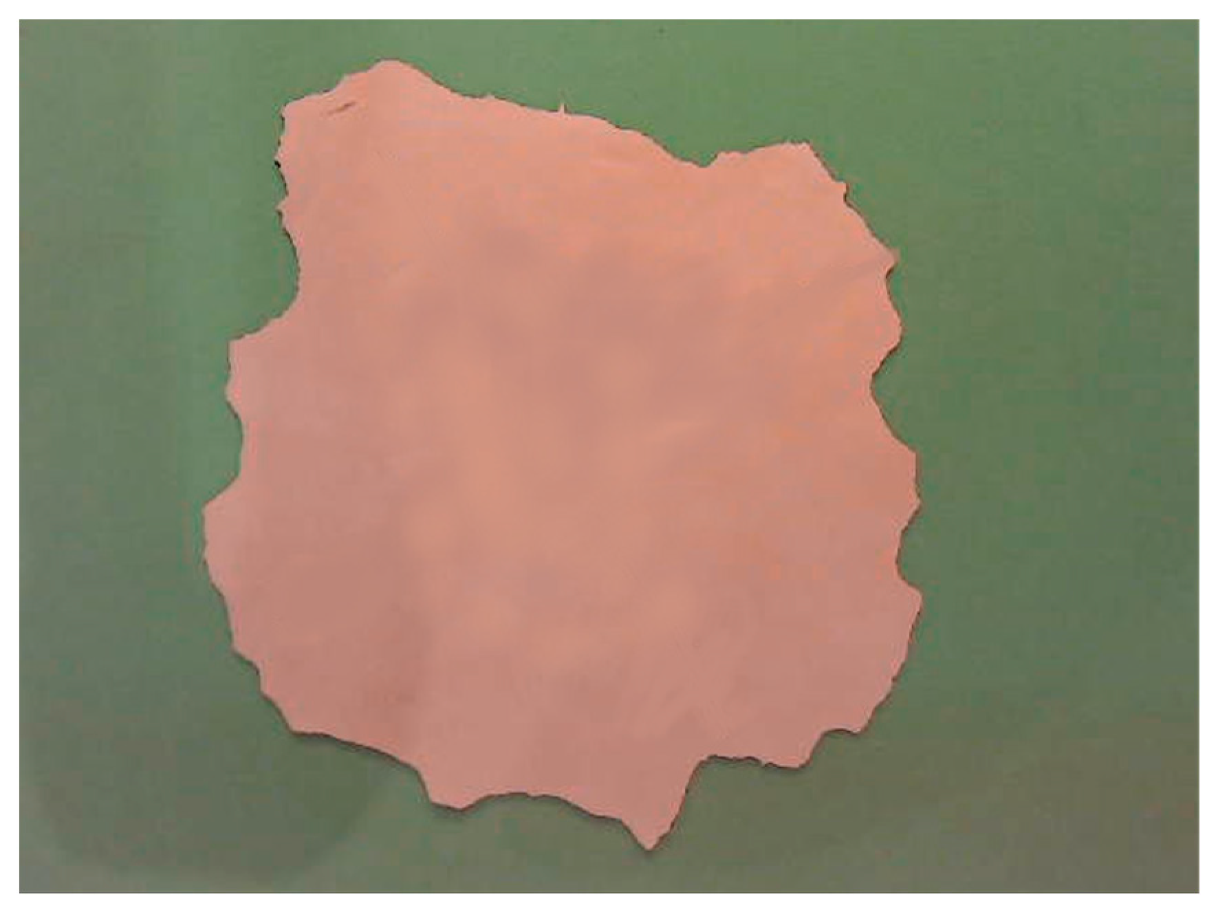 Actuators 13 00149 g004