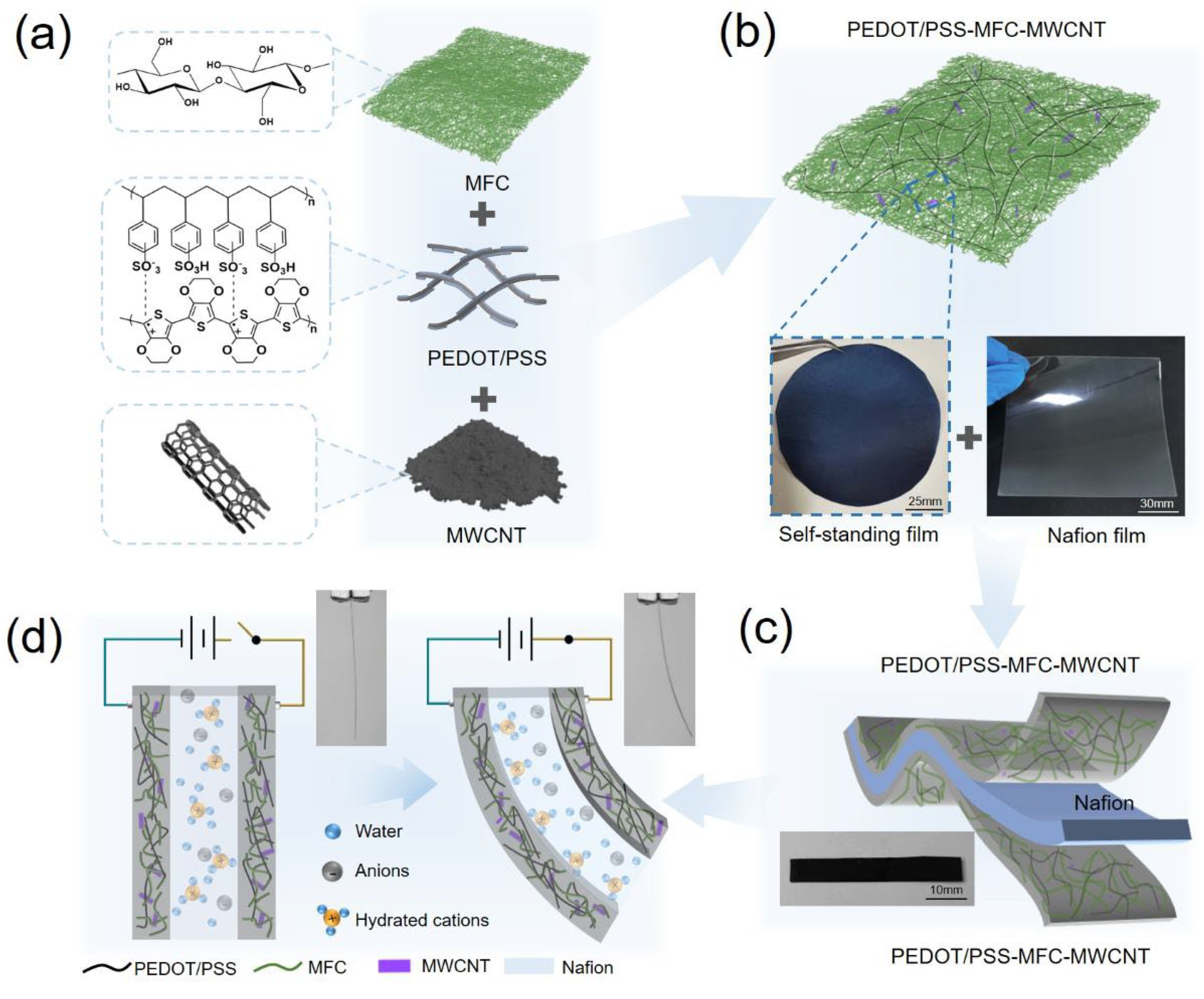Actuators 13 00200 g001